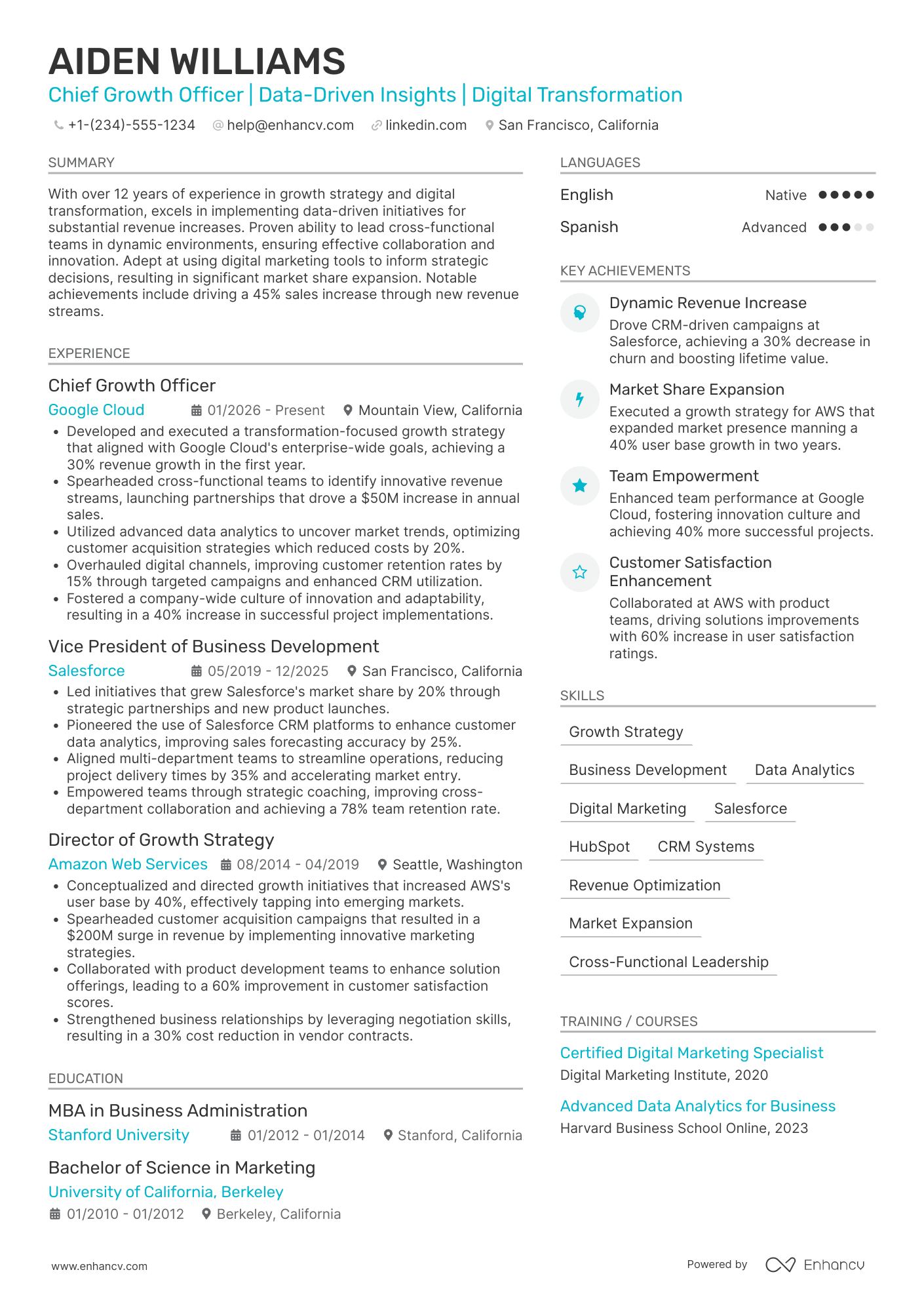 Chief Growth Officer Resume Example
