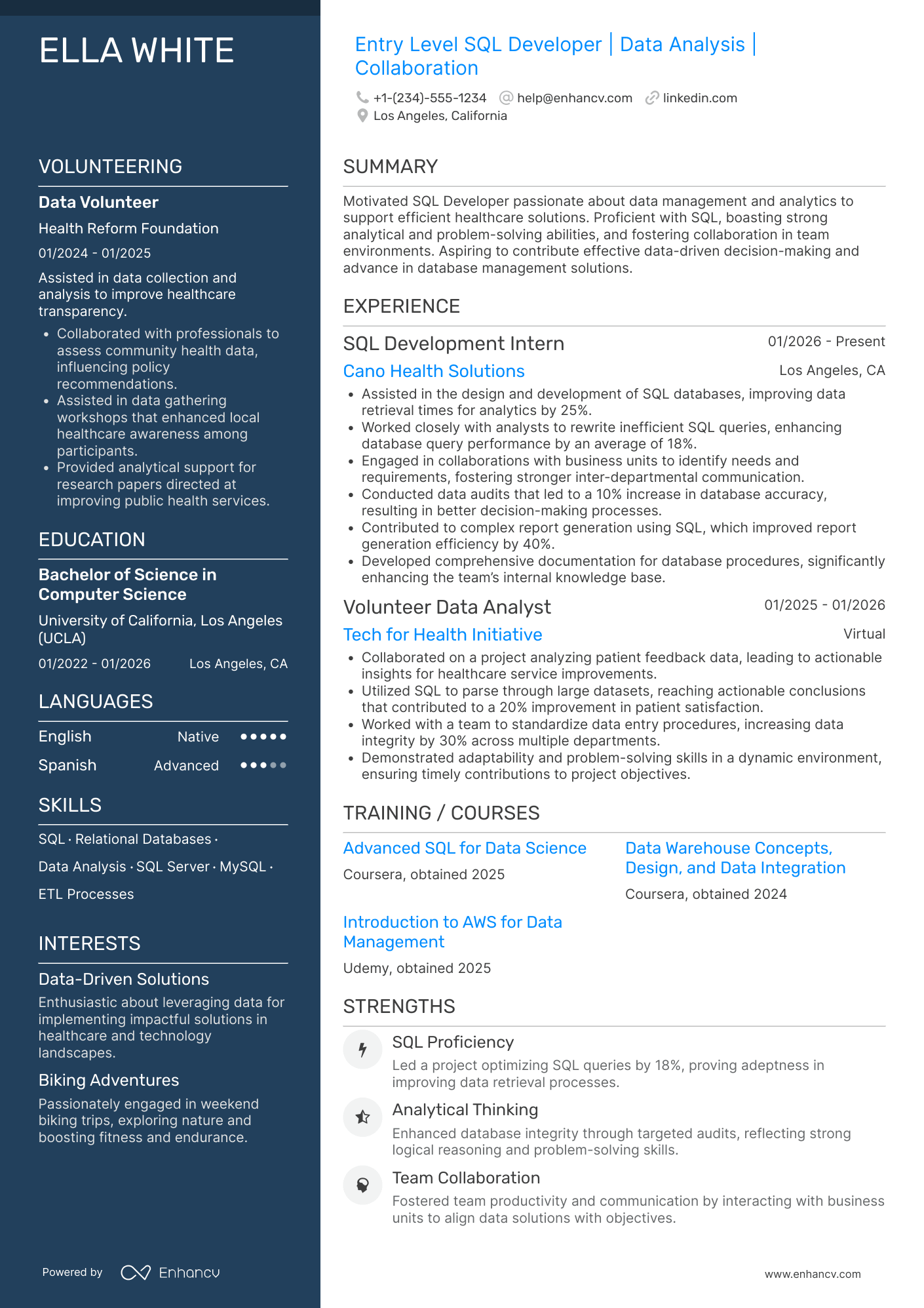 SQL Developer Entry Level Resume Example
