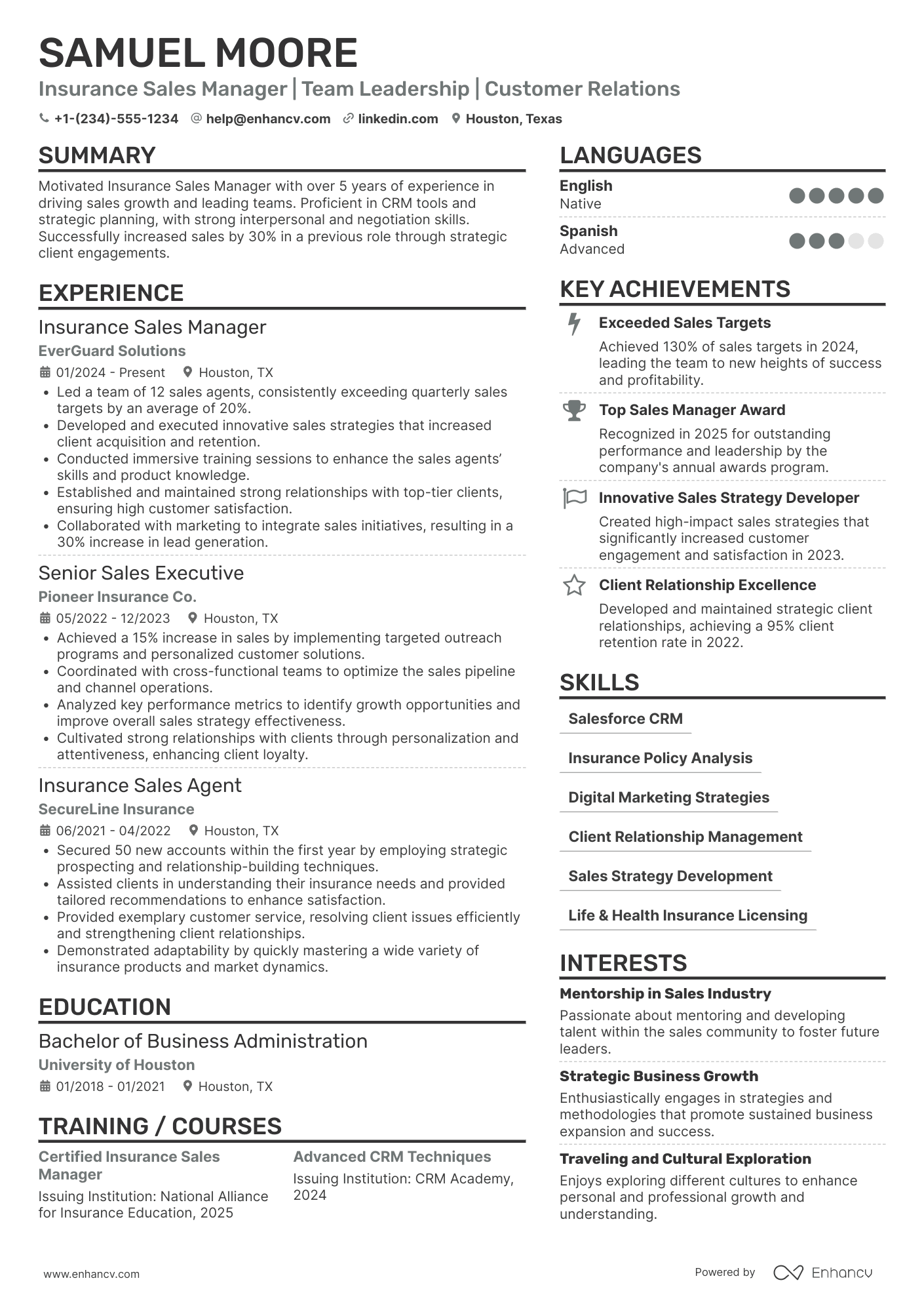 Insurance Sales Manager Resume Example