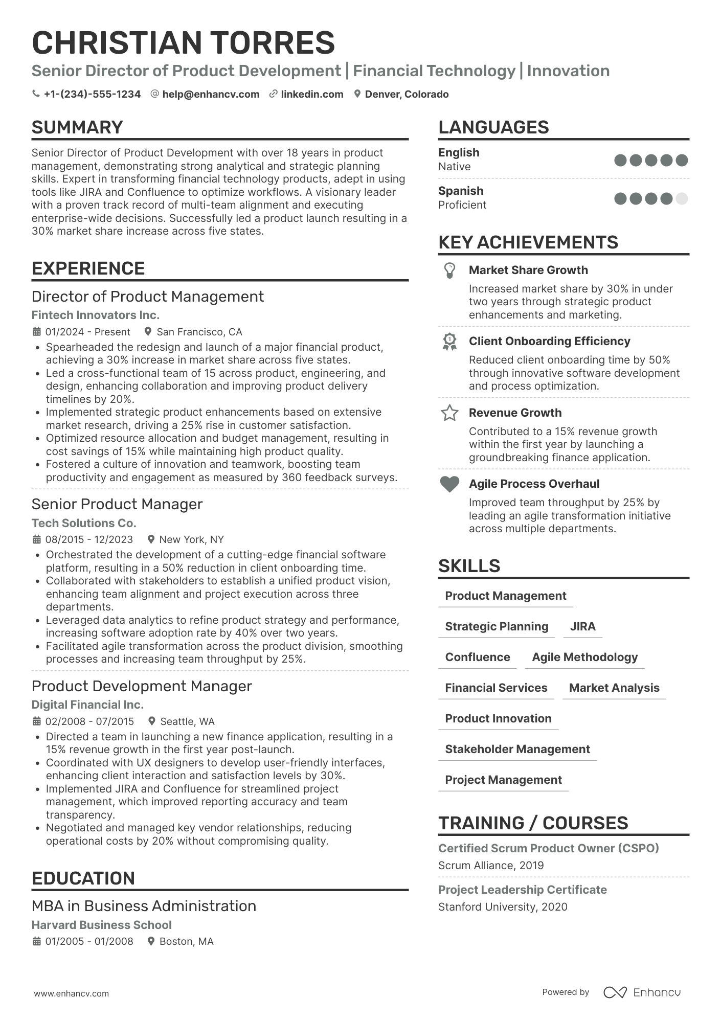 Senior Director Resume Example