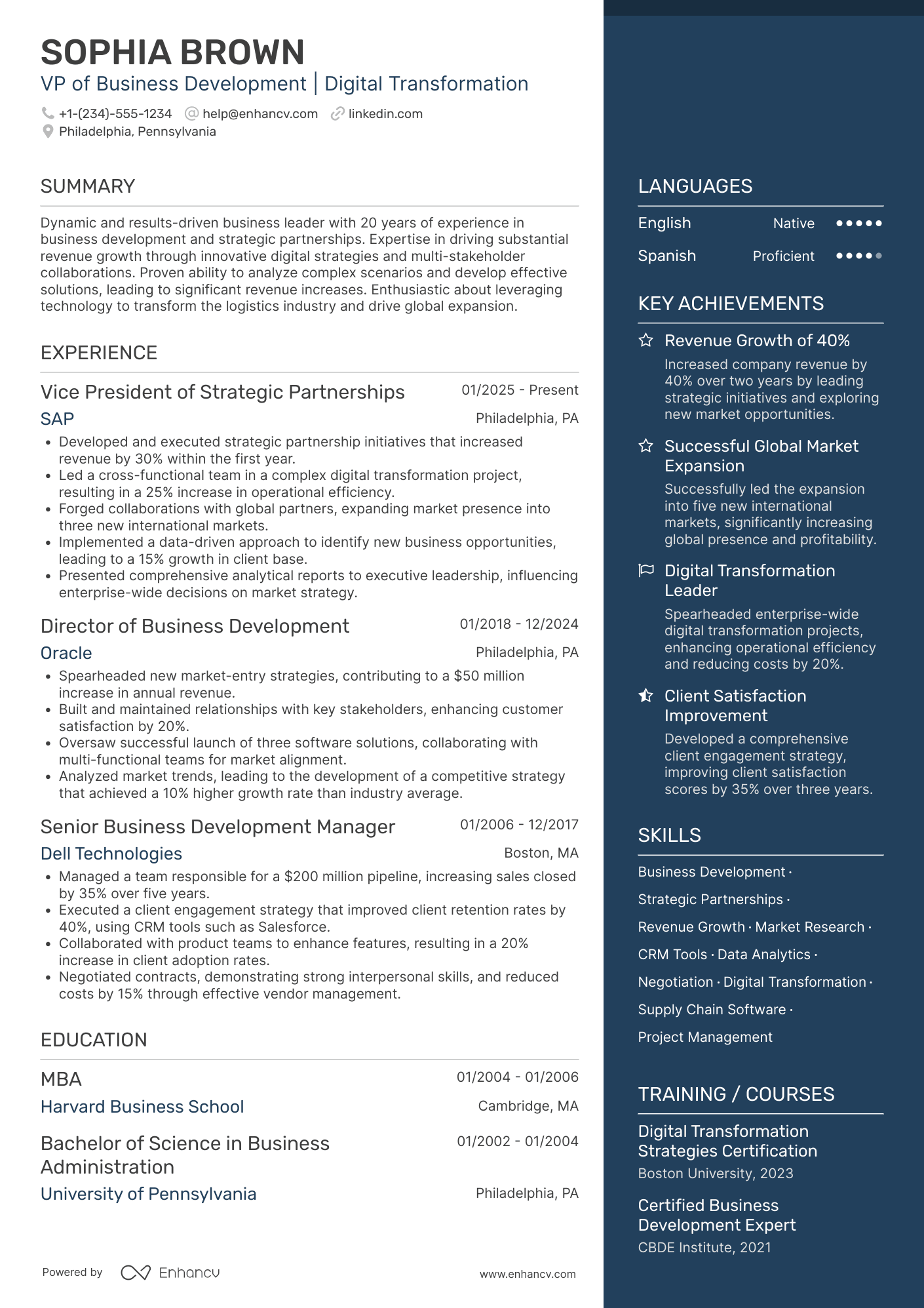 Vice President of Business Development Resume Example