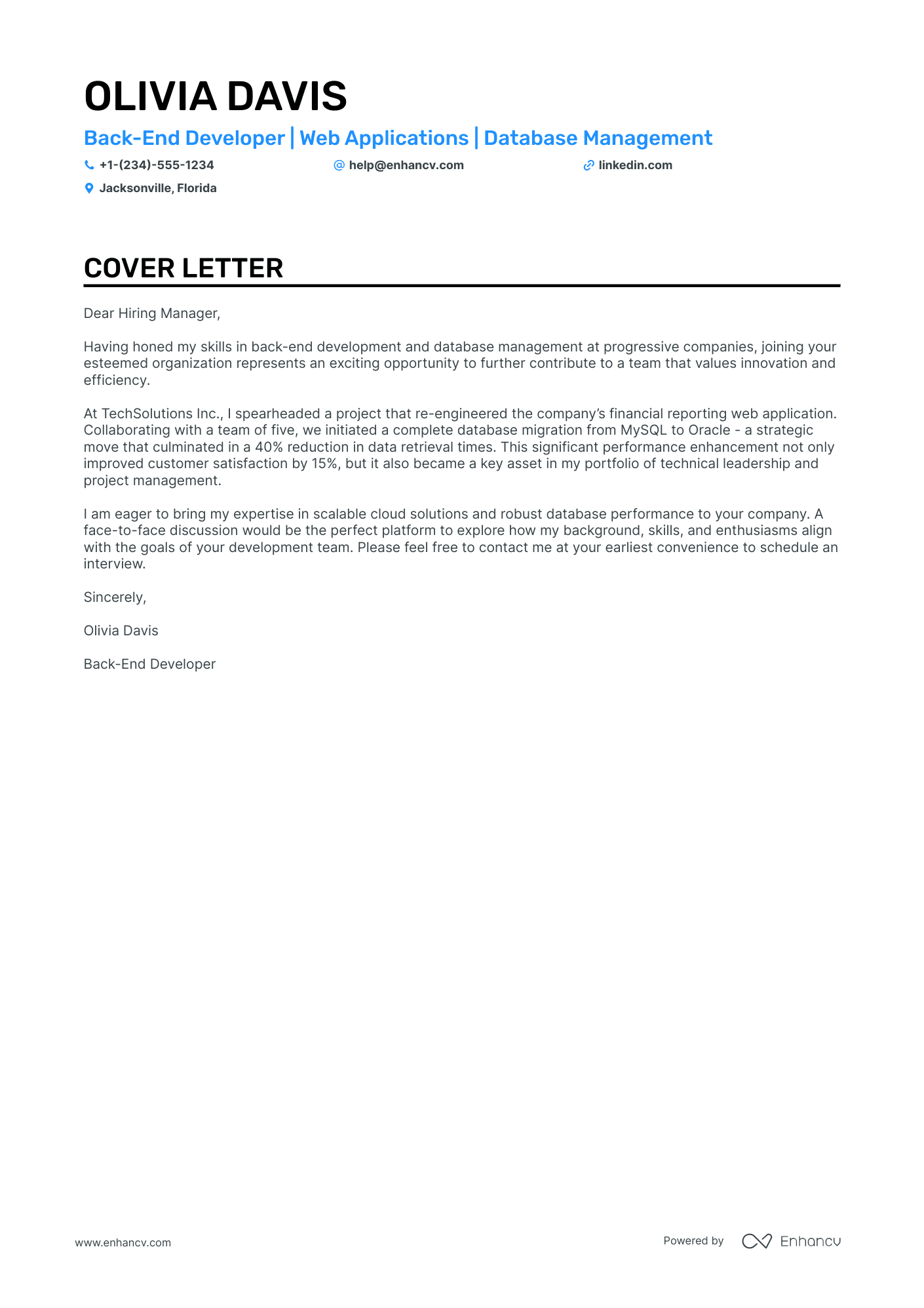 Freelance Developer Resume Example