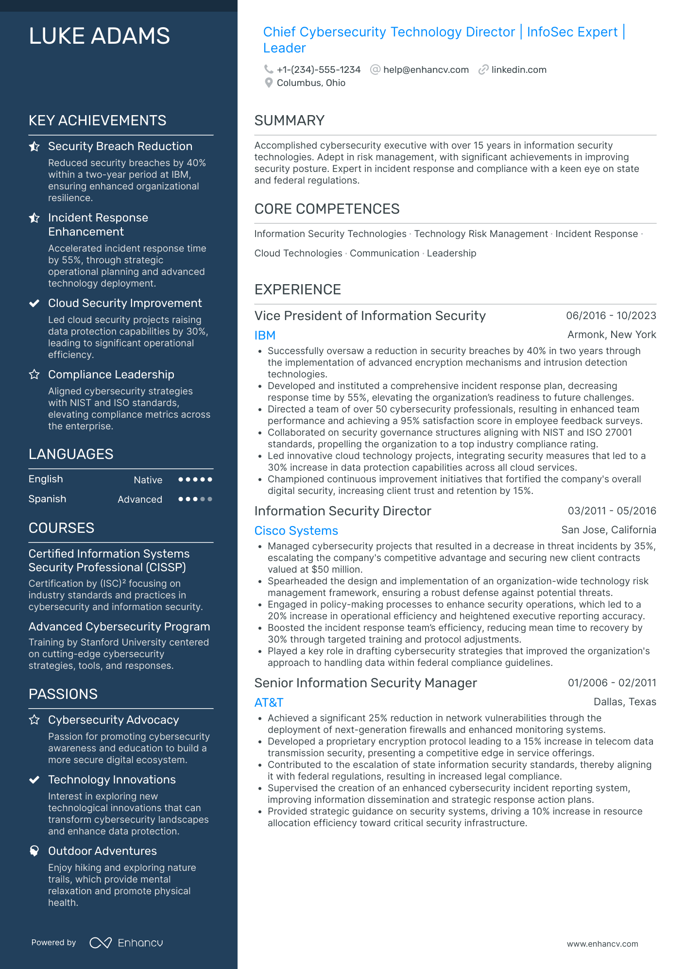 Chief Cybersecurity Officer Resume Example