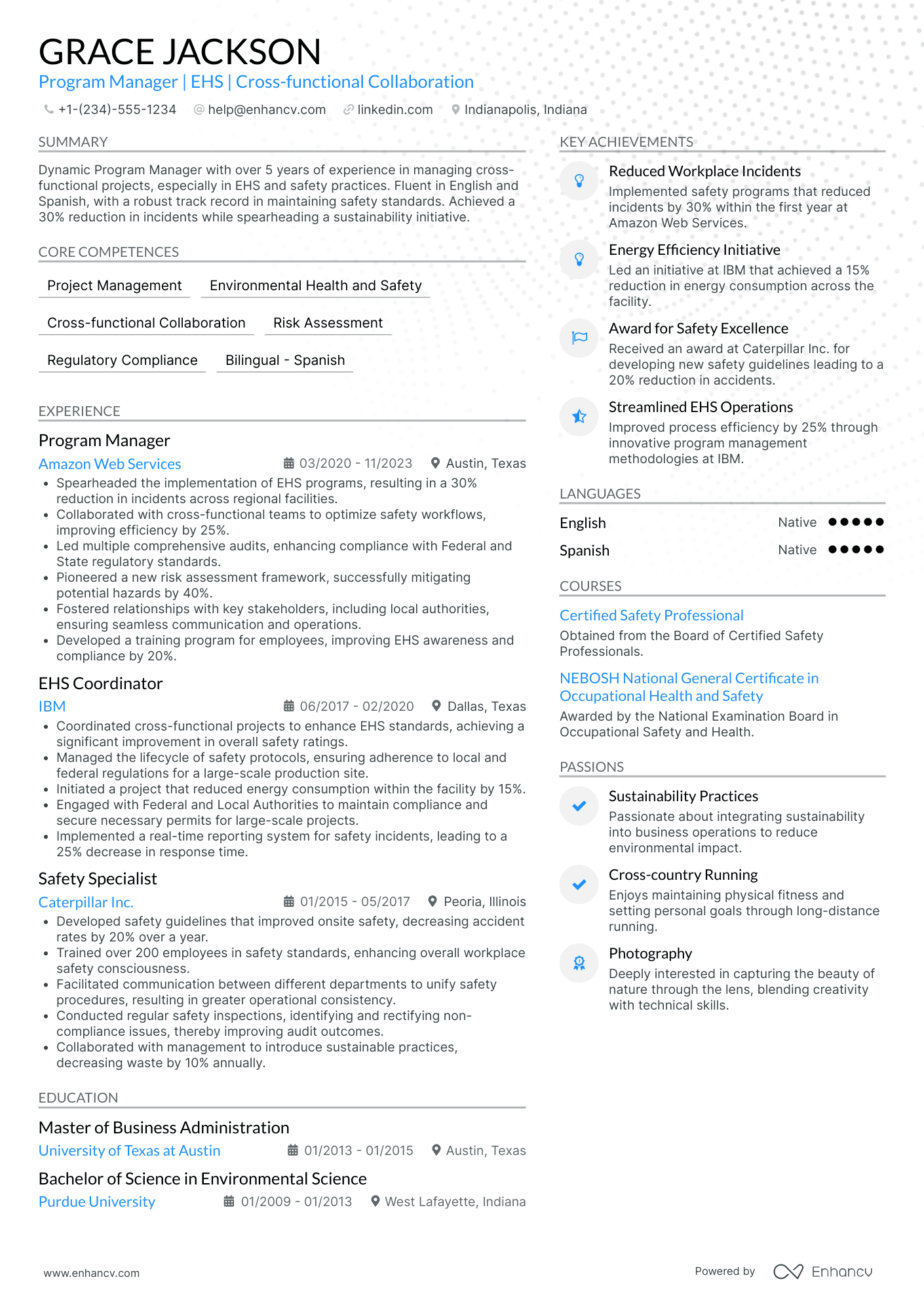 Chief Security Risk Officer Resume Example