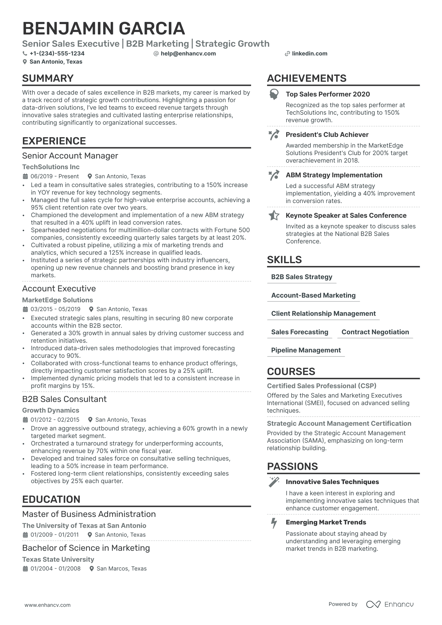 Account Director Resume Example