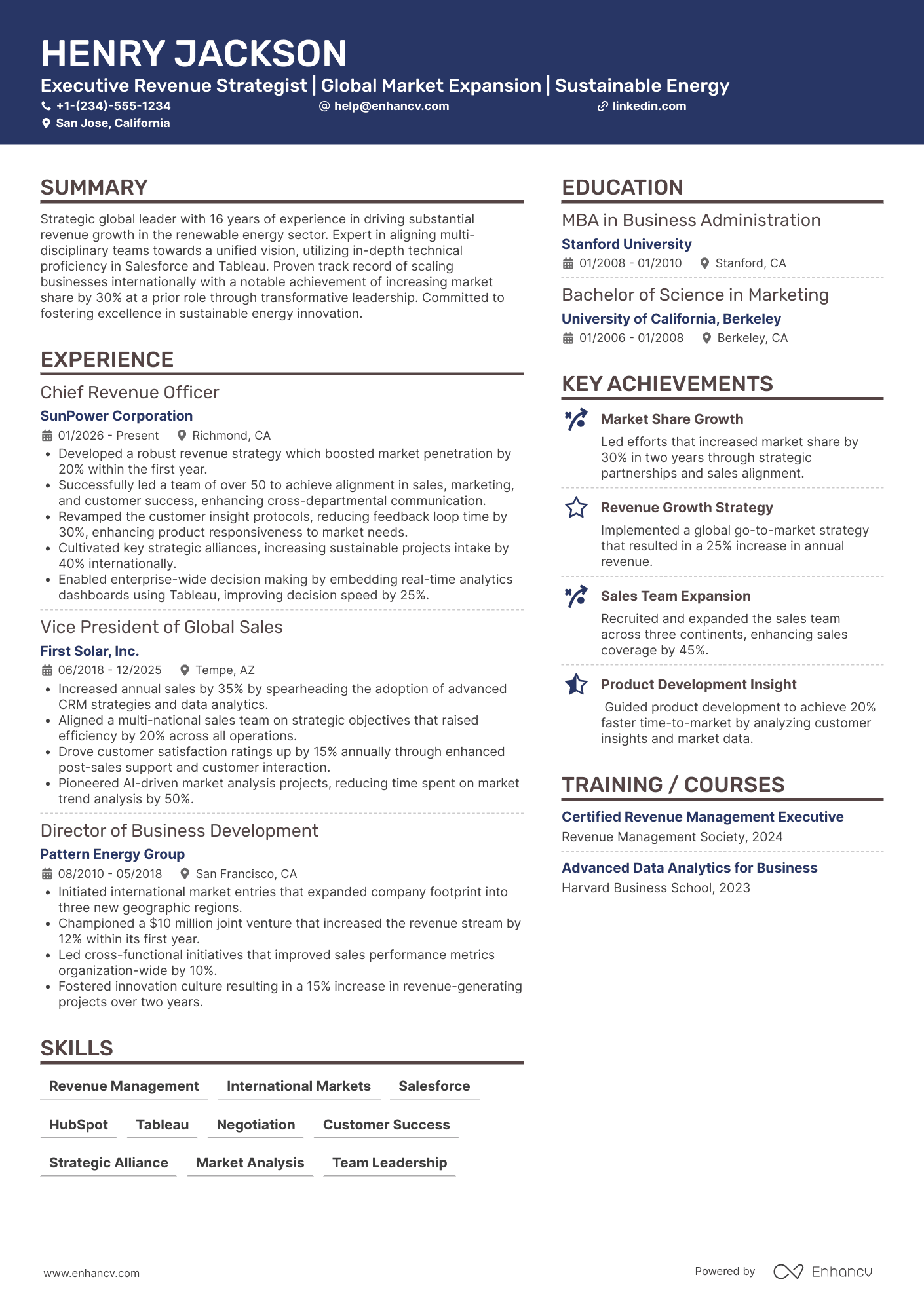 Global Chief Revenue Officer Resume Example