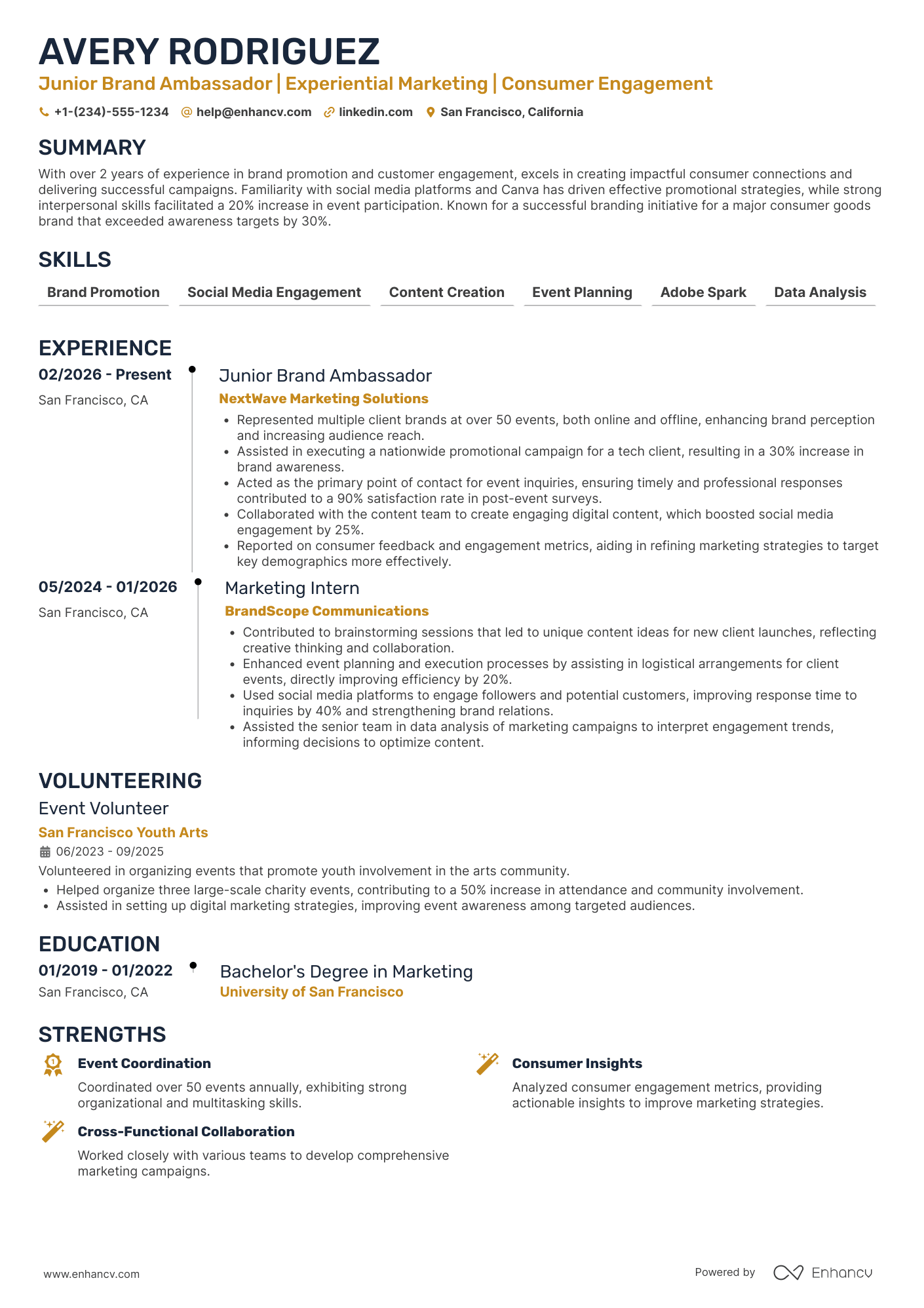 Junior Brand Ambassador Resume Example