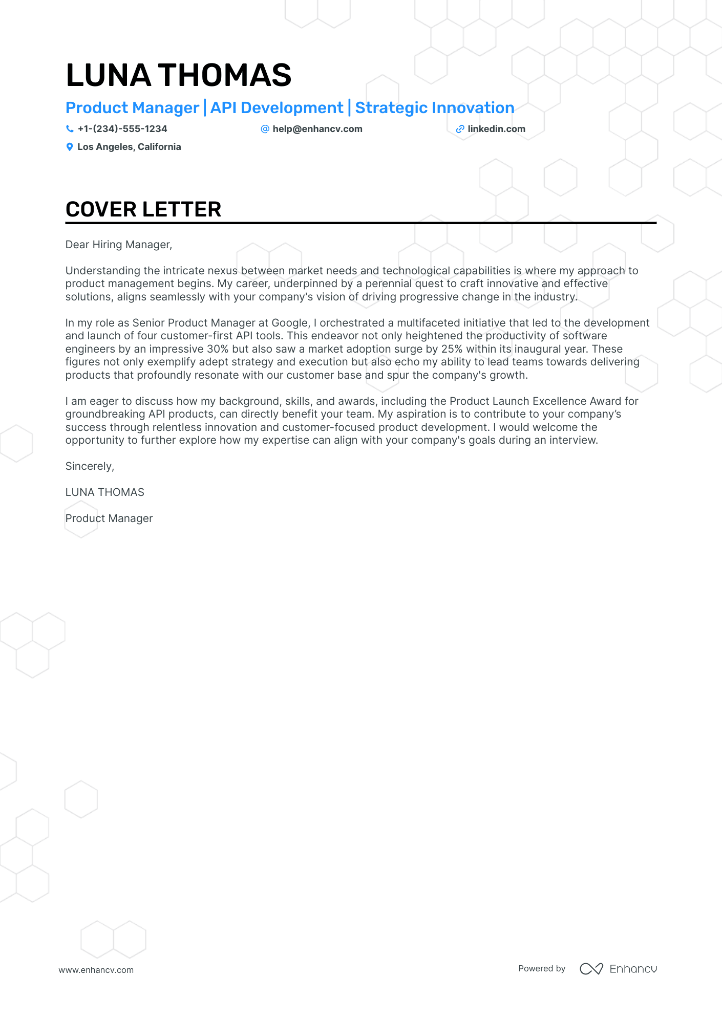 Api Product Manager Resume Example