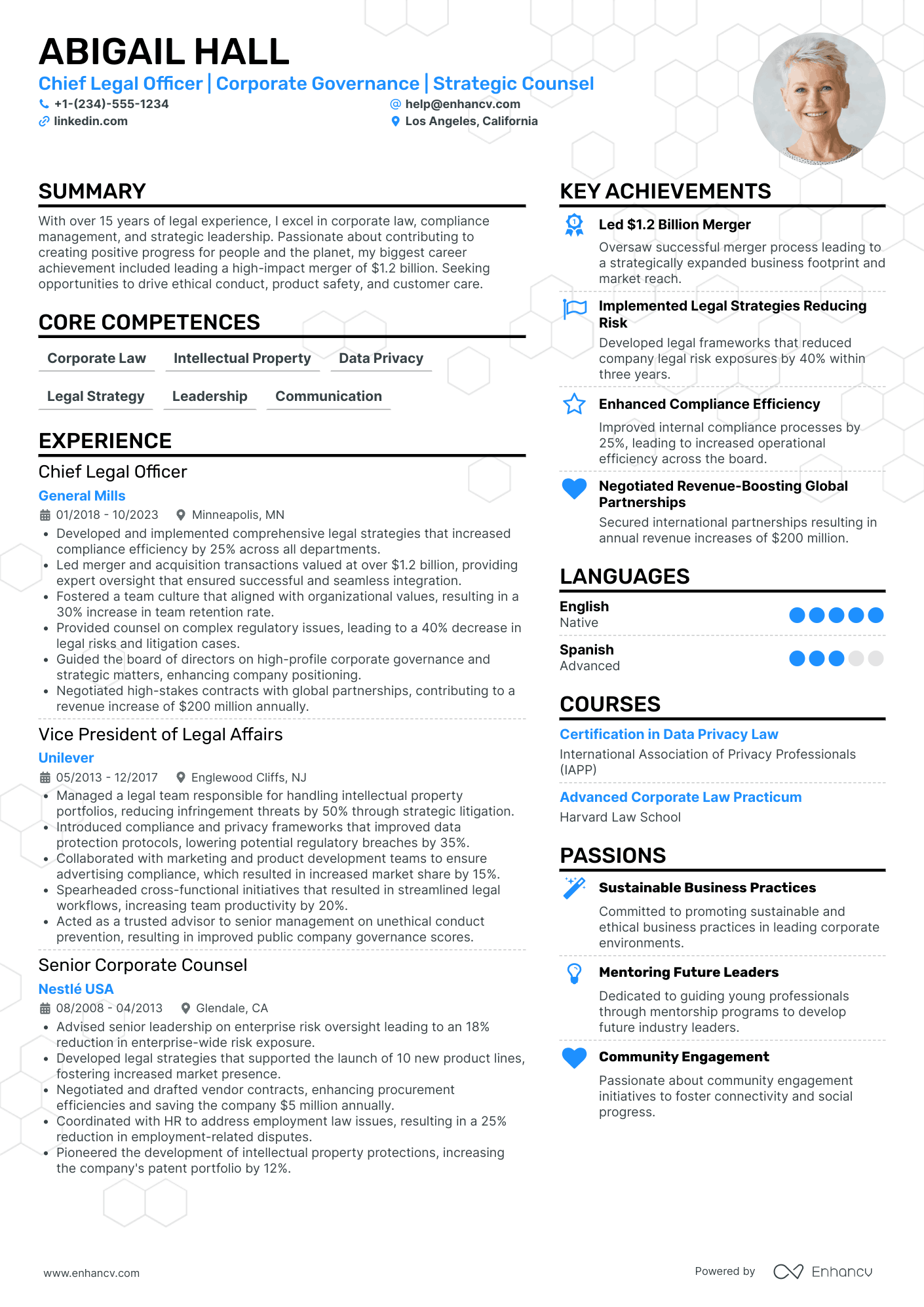 Chief Legal Officer Resume Example