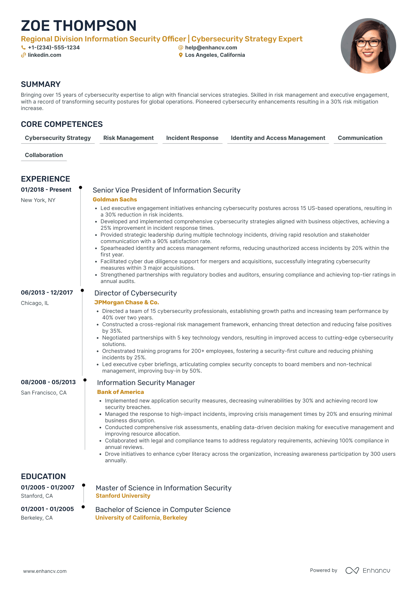 Regional Chief Security Officer Resume Example