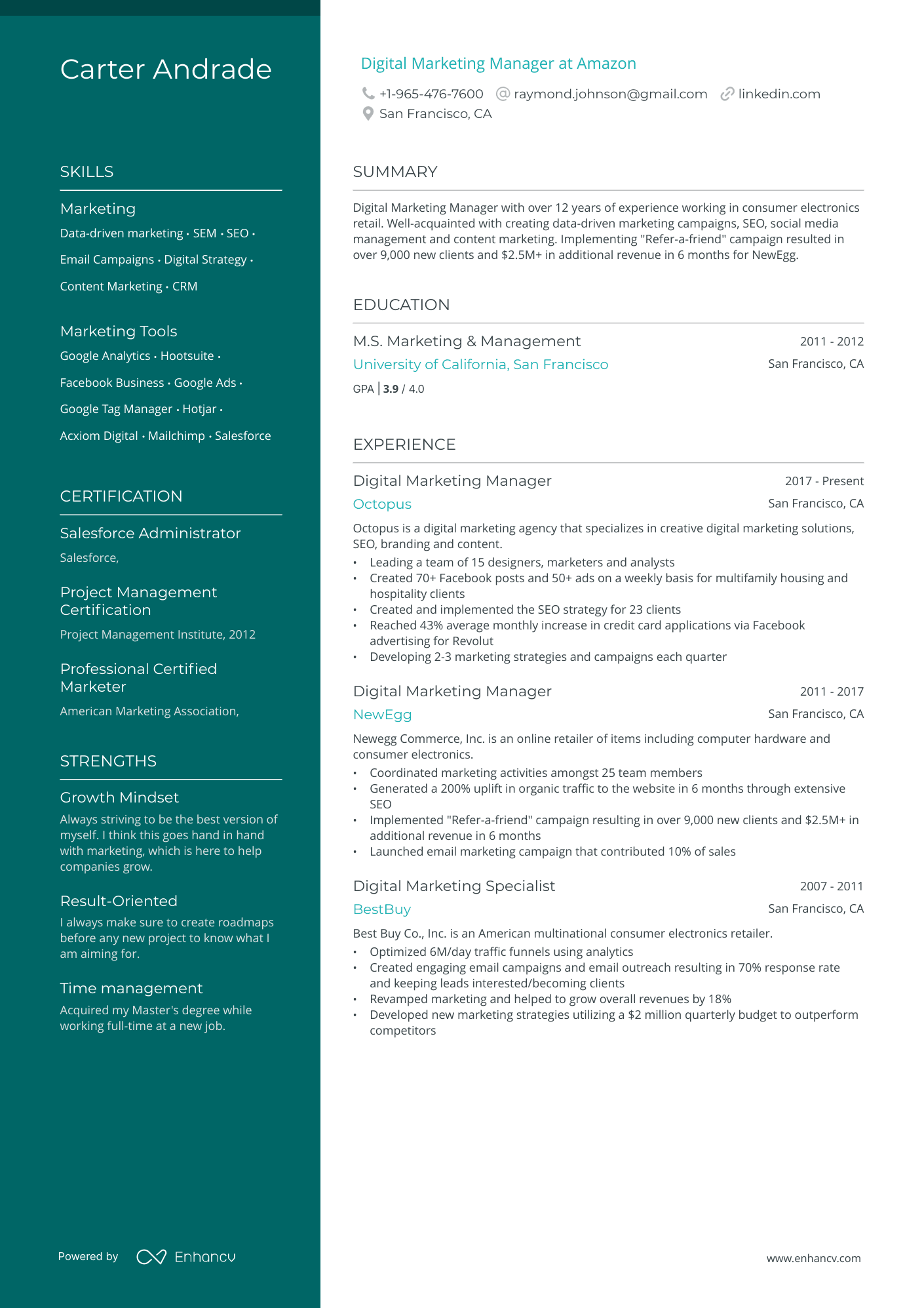 Digital Marketing Manager Resume Example