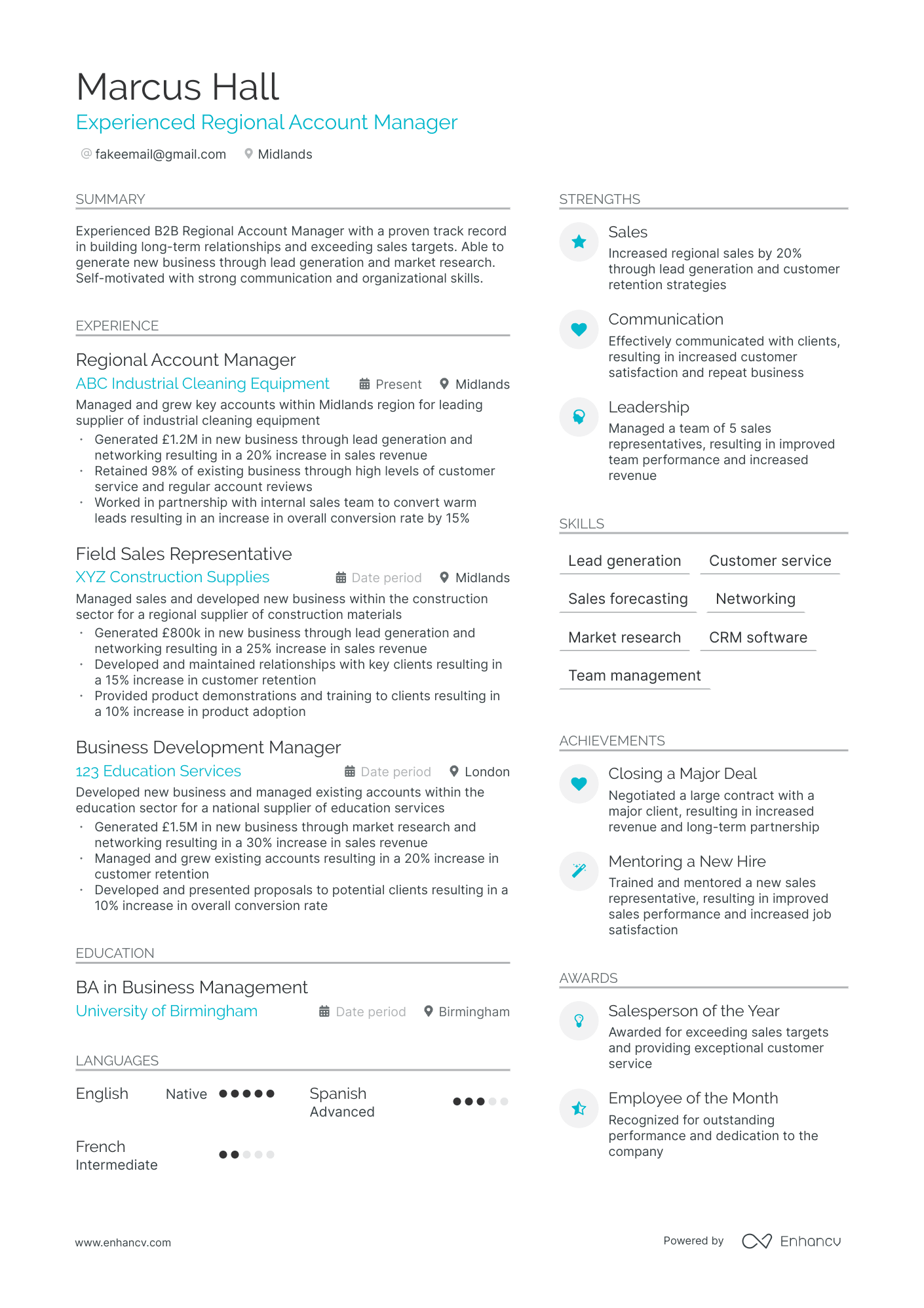 Regional Account Manager Resume Example
