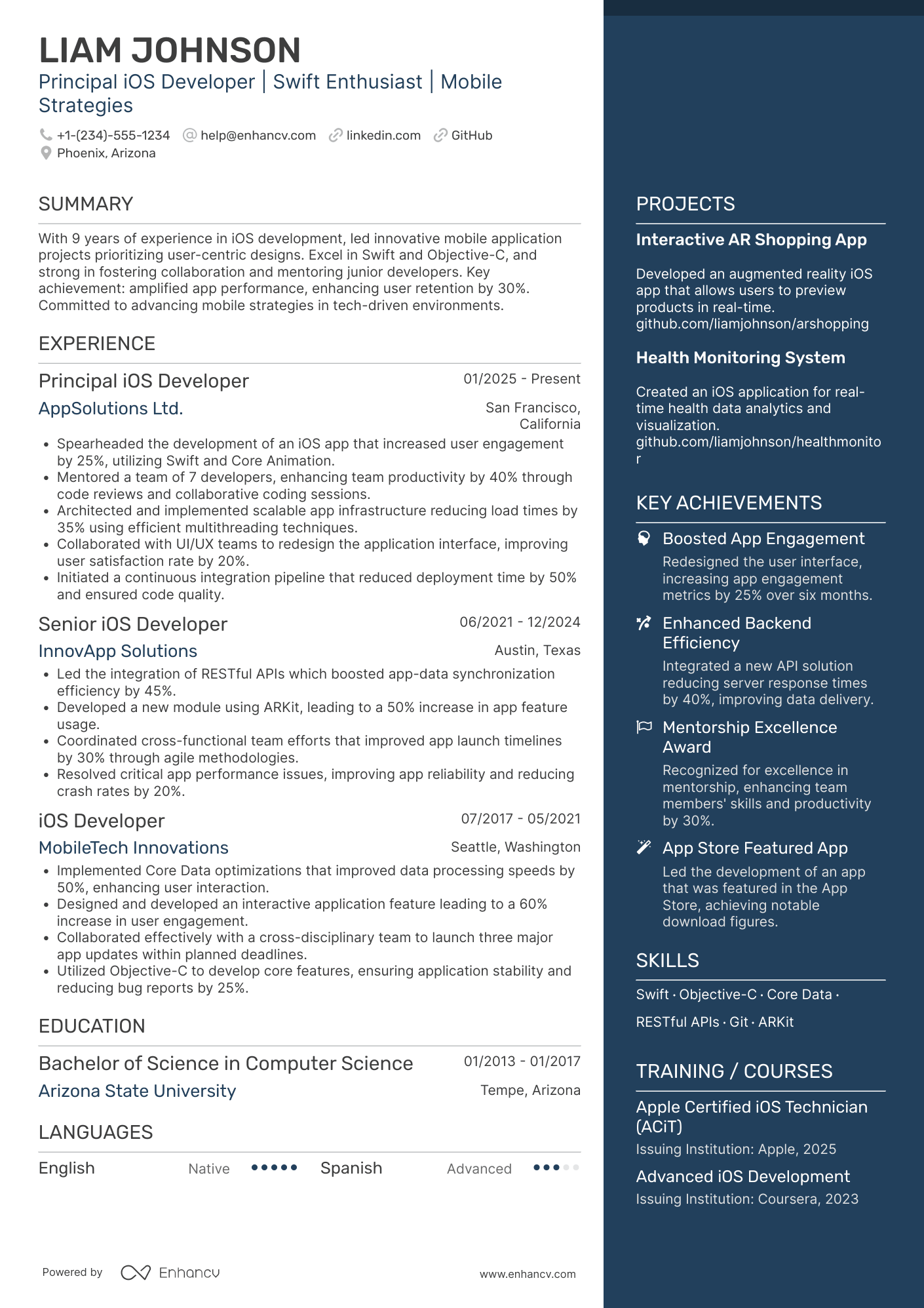 Principal iOS Developer Resume Example