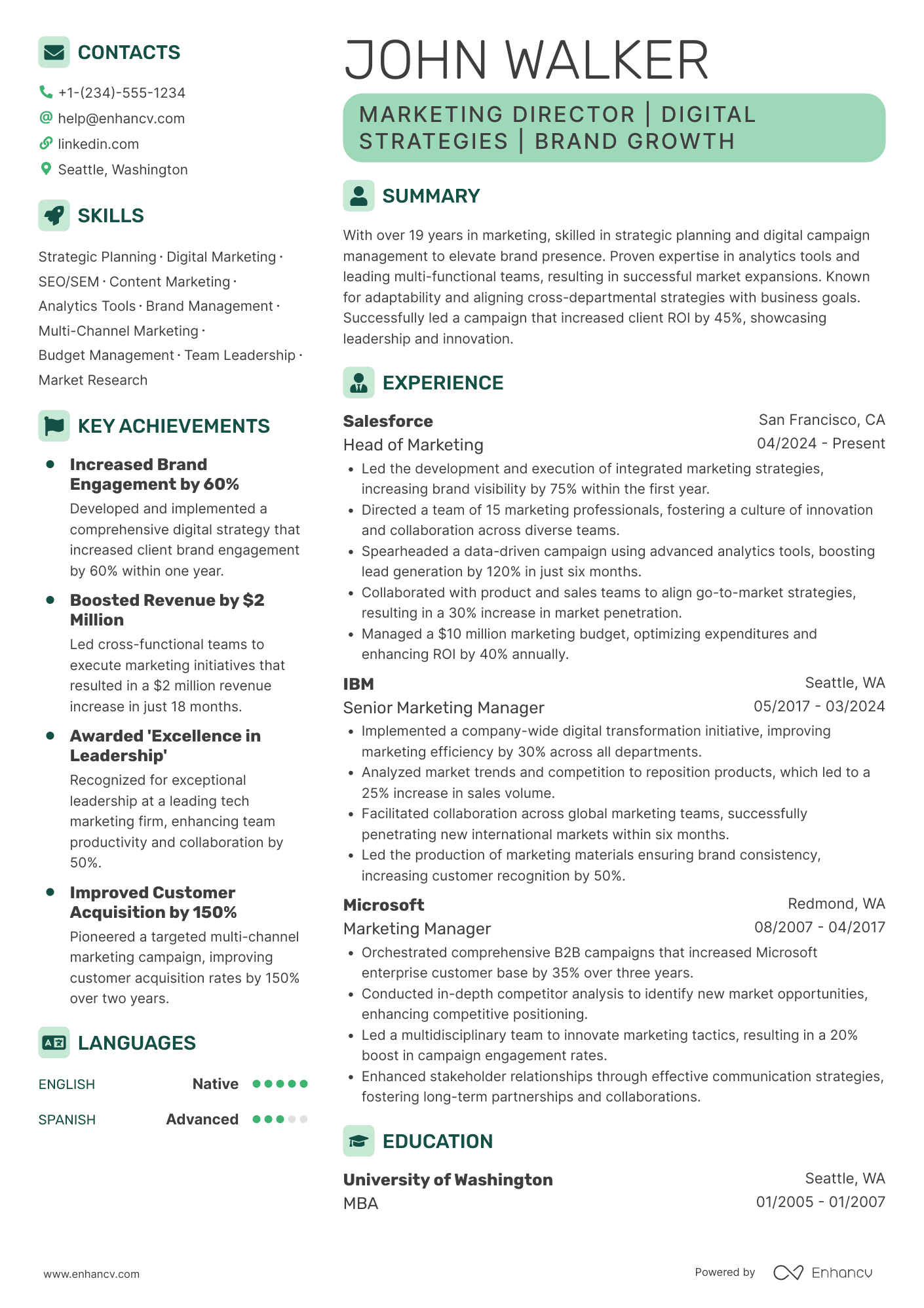 Marketing Director Resume Example