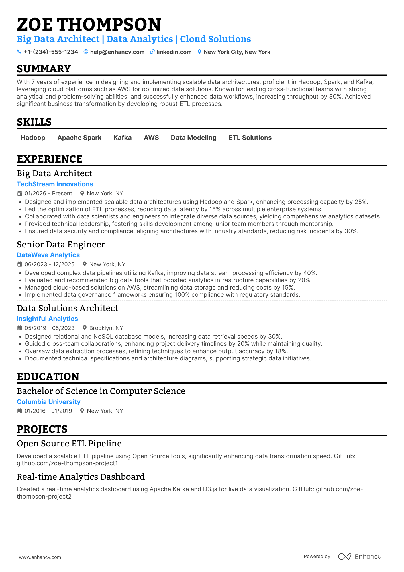 Big Data Architect Resume Example