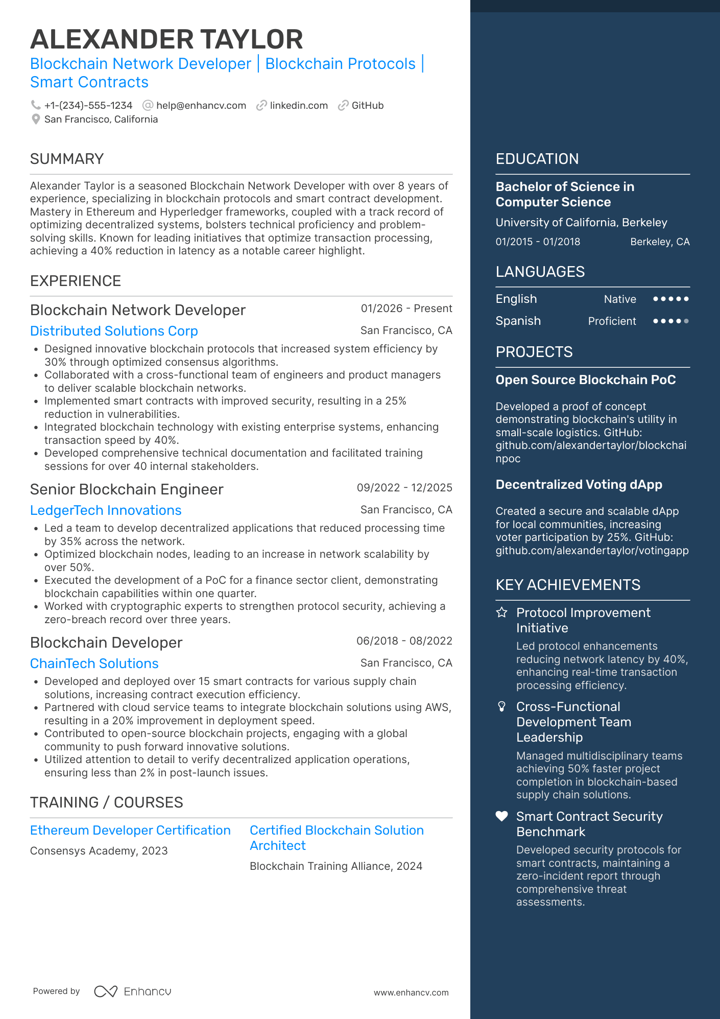 Blockchain Network Developer Resume Example