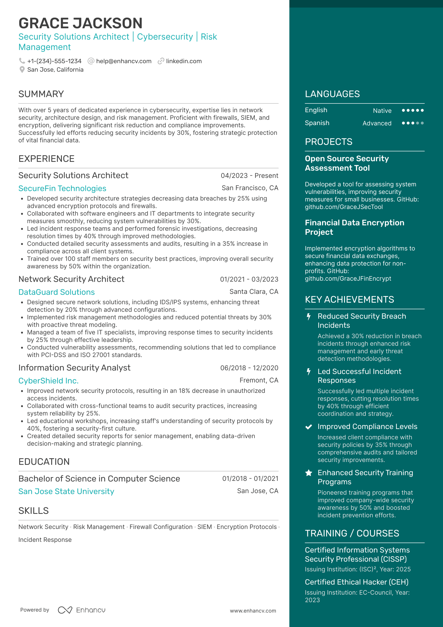 Security Solutions Architect Resume Example