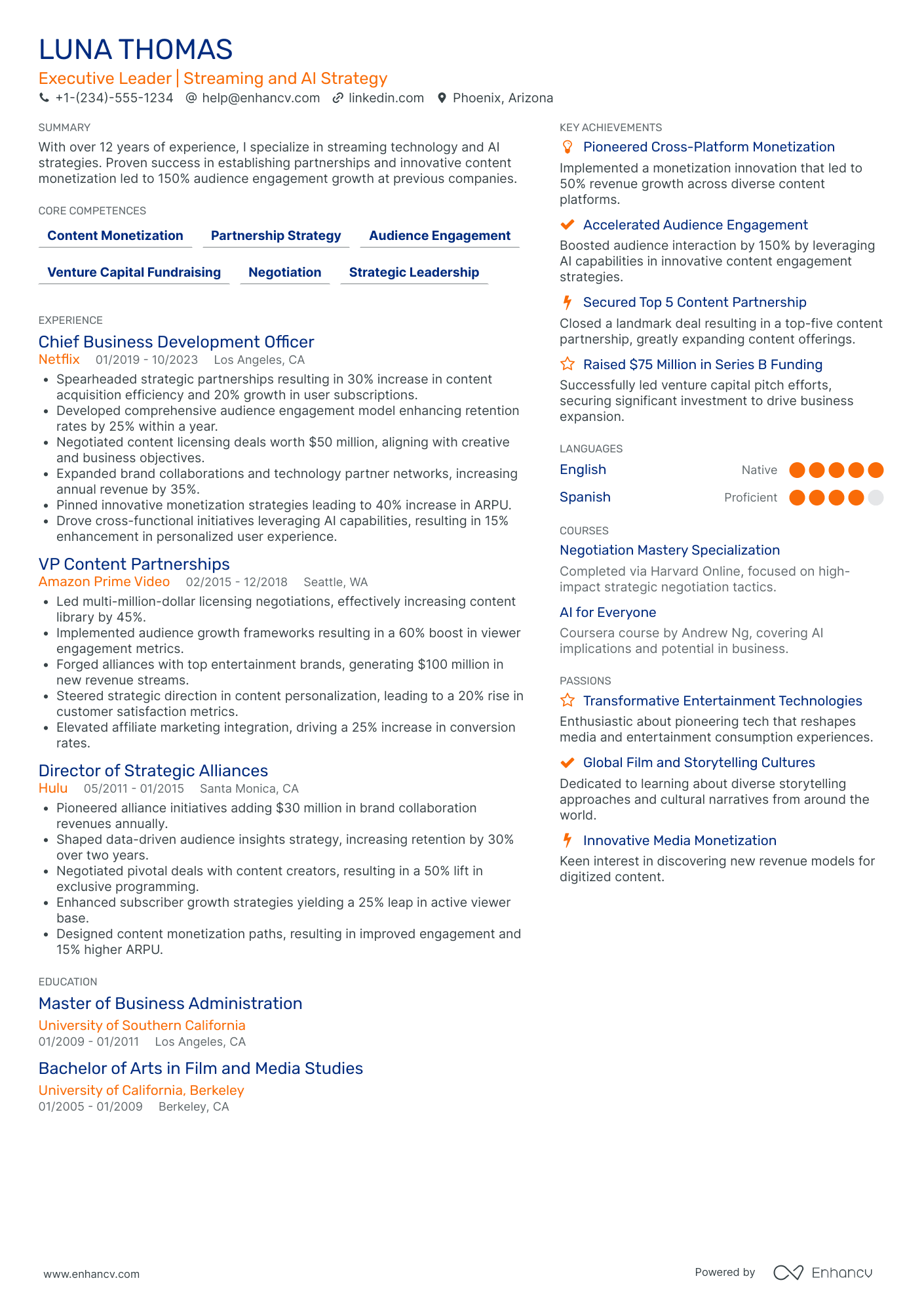 Chief Executive Officer in Media & Entertainment Resume Example