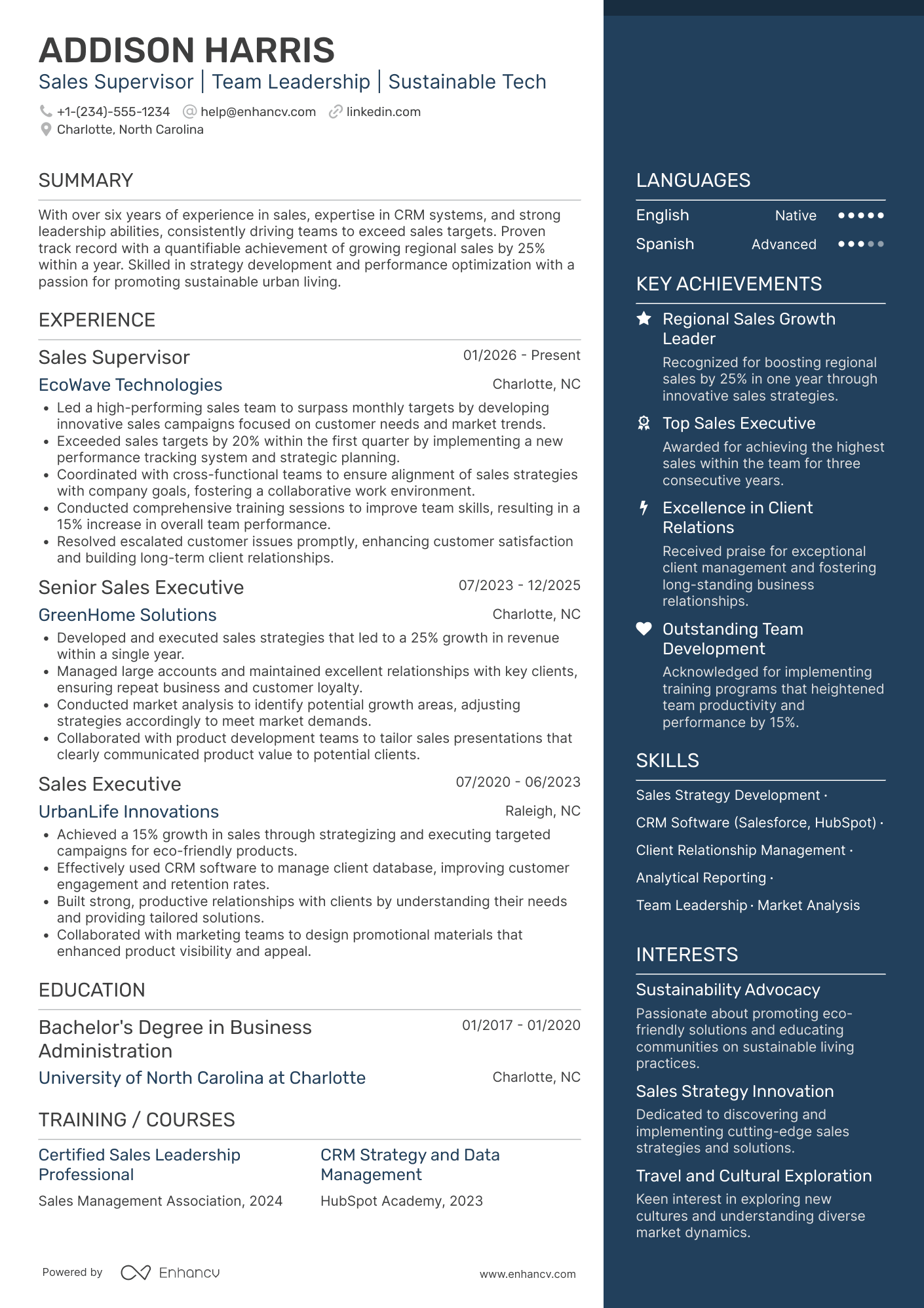 Sales Supervisor Resume Example