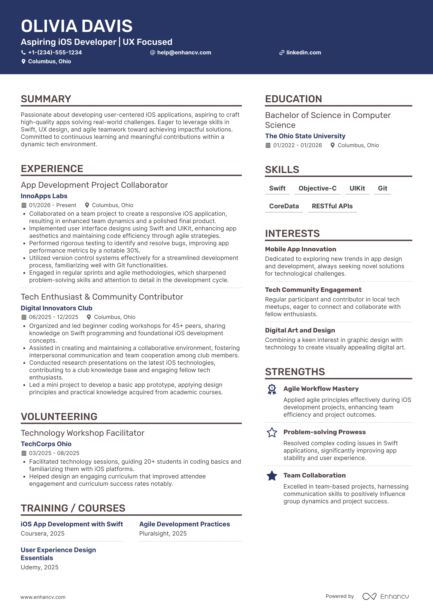 iOS Developer Intern Resume Example