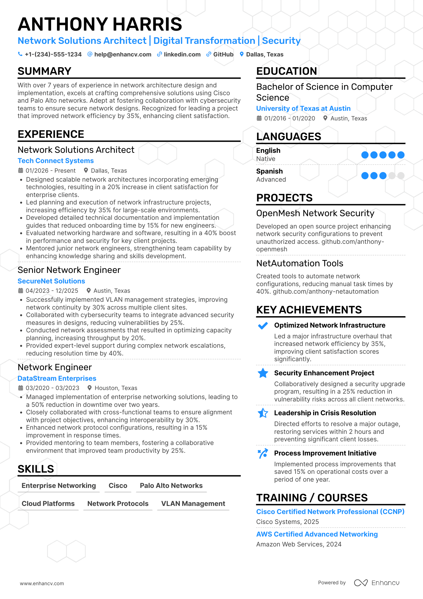 Network Solutions Architect Resume Example
