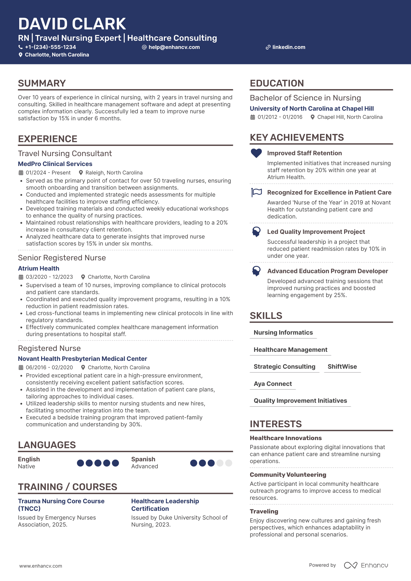 Travel Nurse Consultant Resume Example