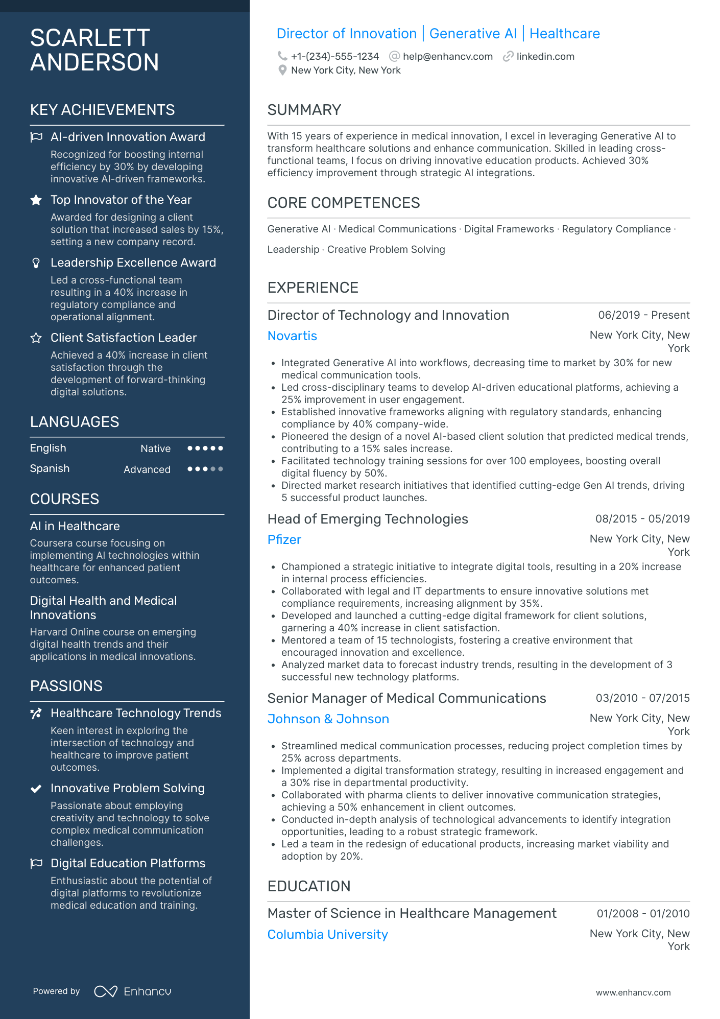 Chief Innovation and Technology Officer Resume Example