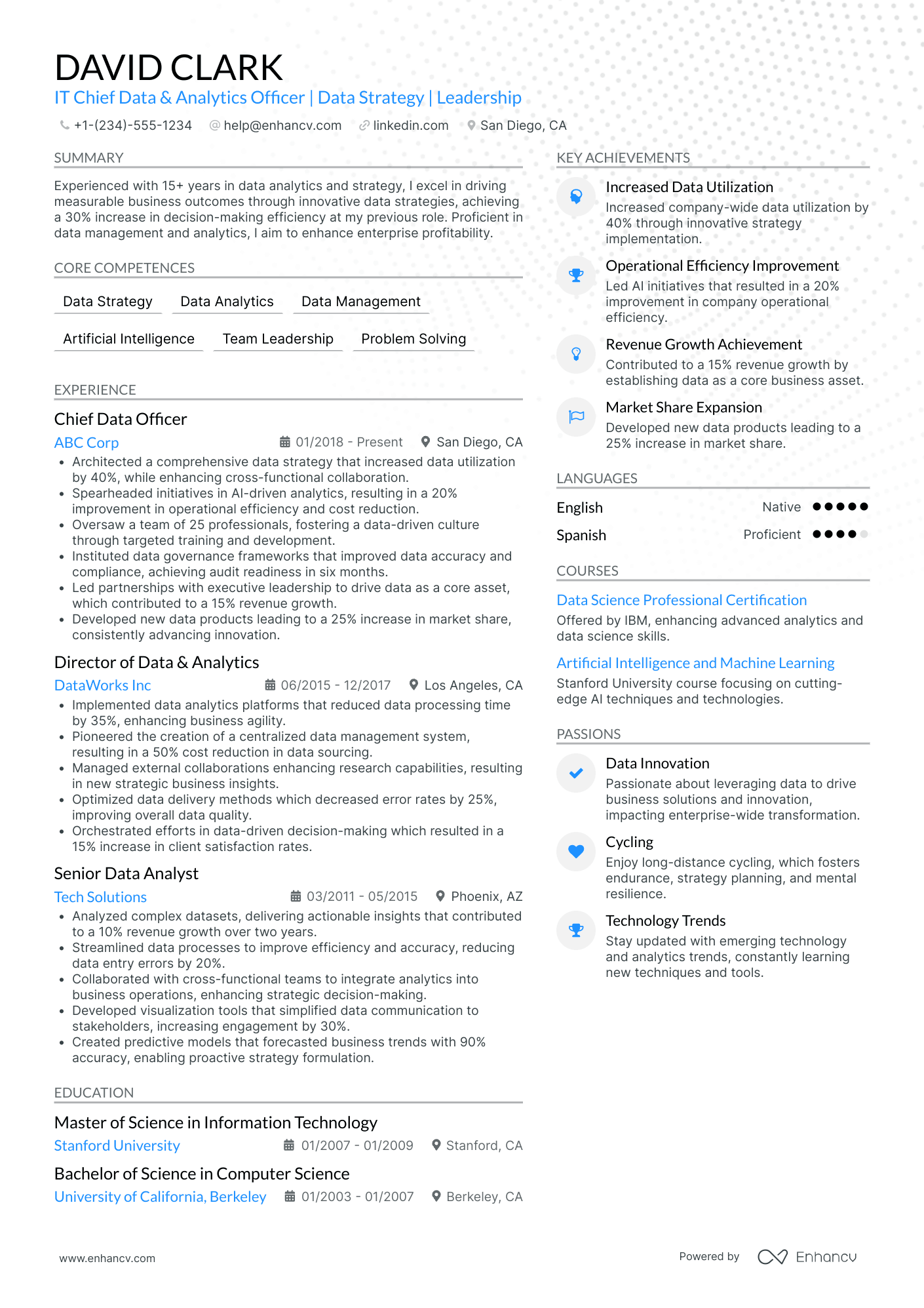 Chief Data and Analytics Officer Resume Example