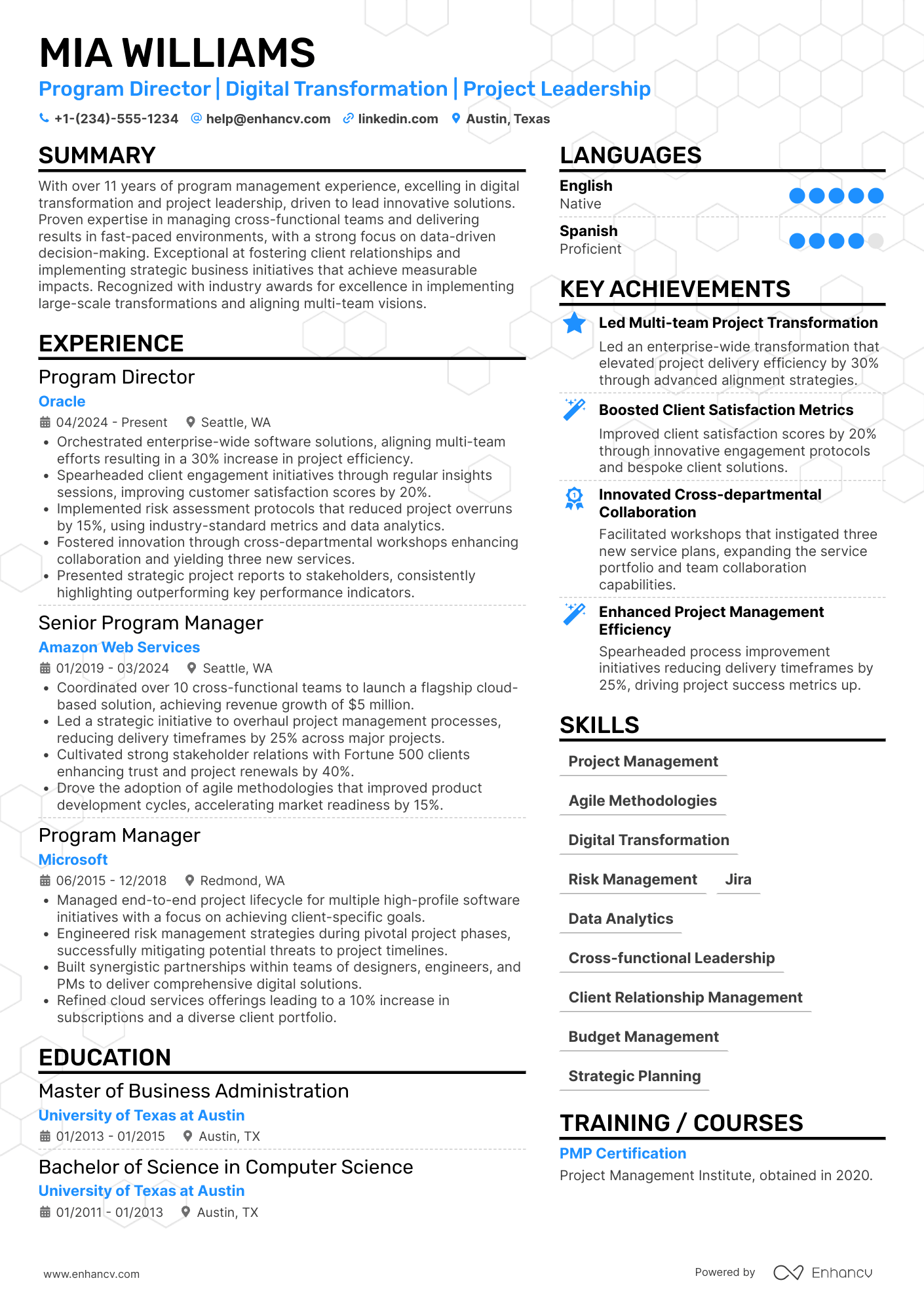 Program Director Resume Example