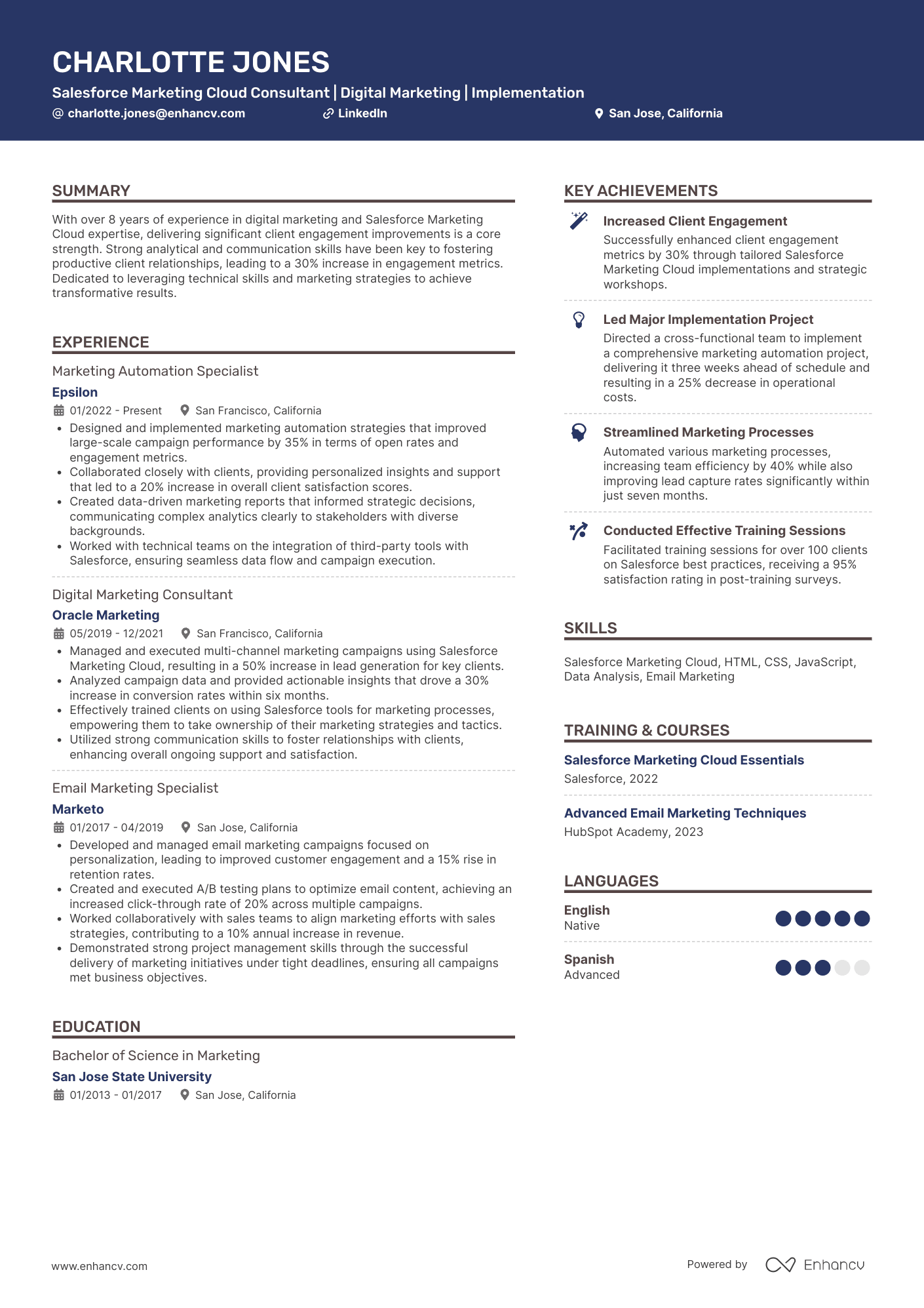 Marketing Cloud Consultant Resume Example