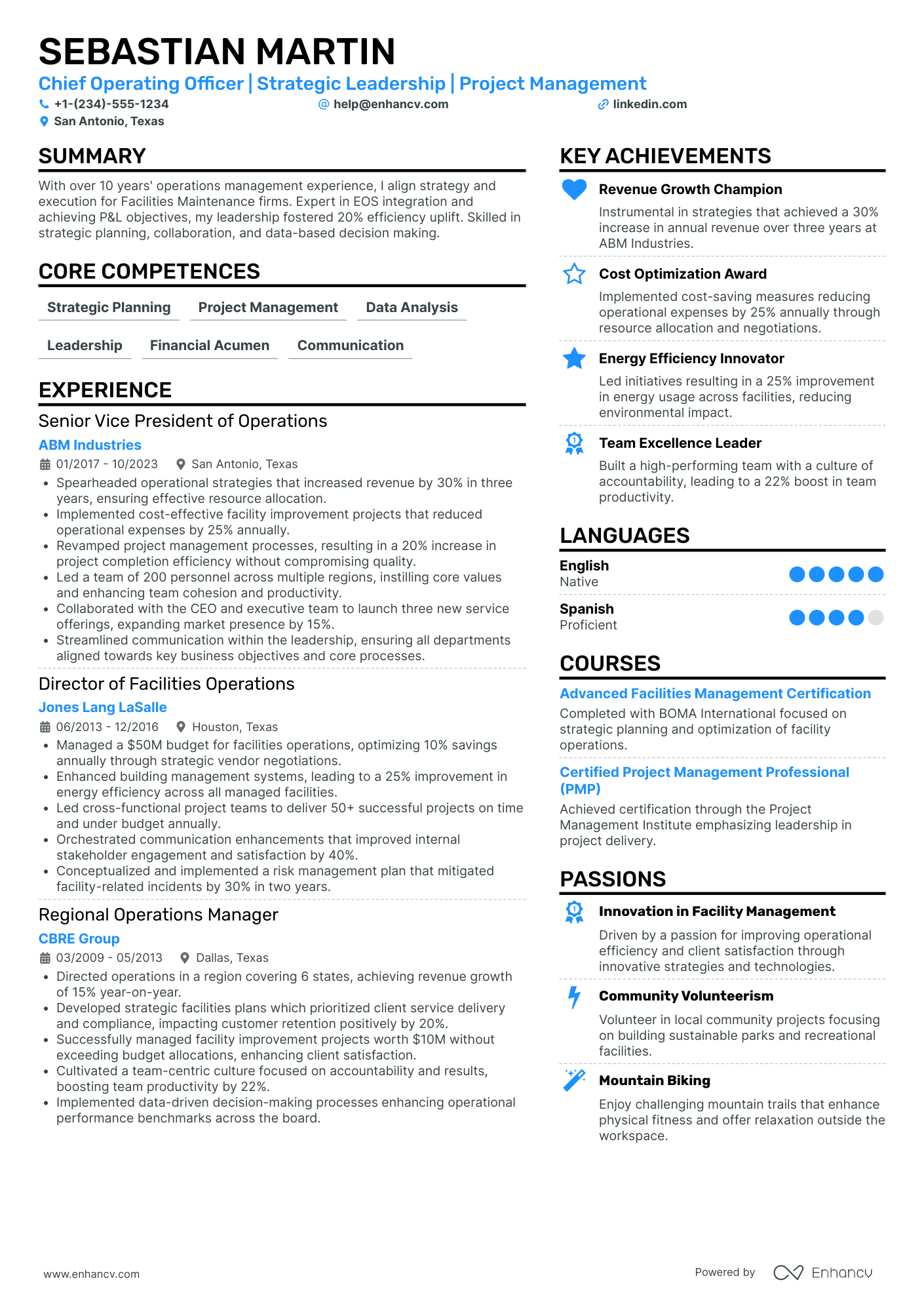 Chief Technology Officer in Renewable Energy Resume Example