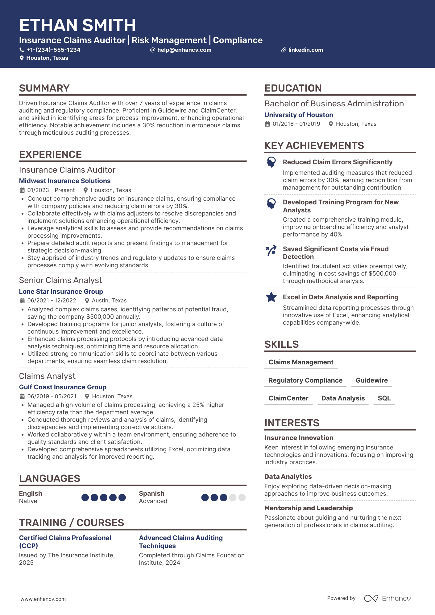 Insurance Claims Auditor Resume Example