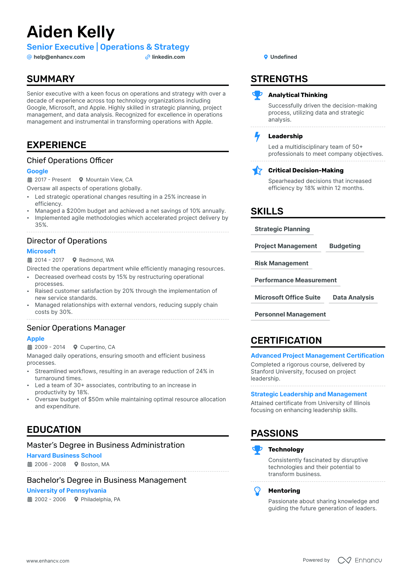 Board of Directors Resume Example