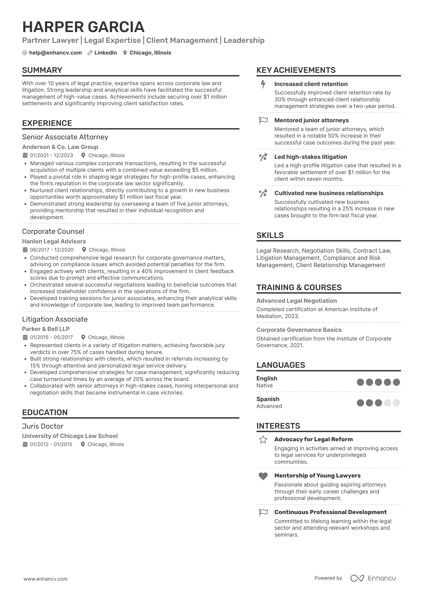 Partner Lawyer Resume Example