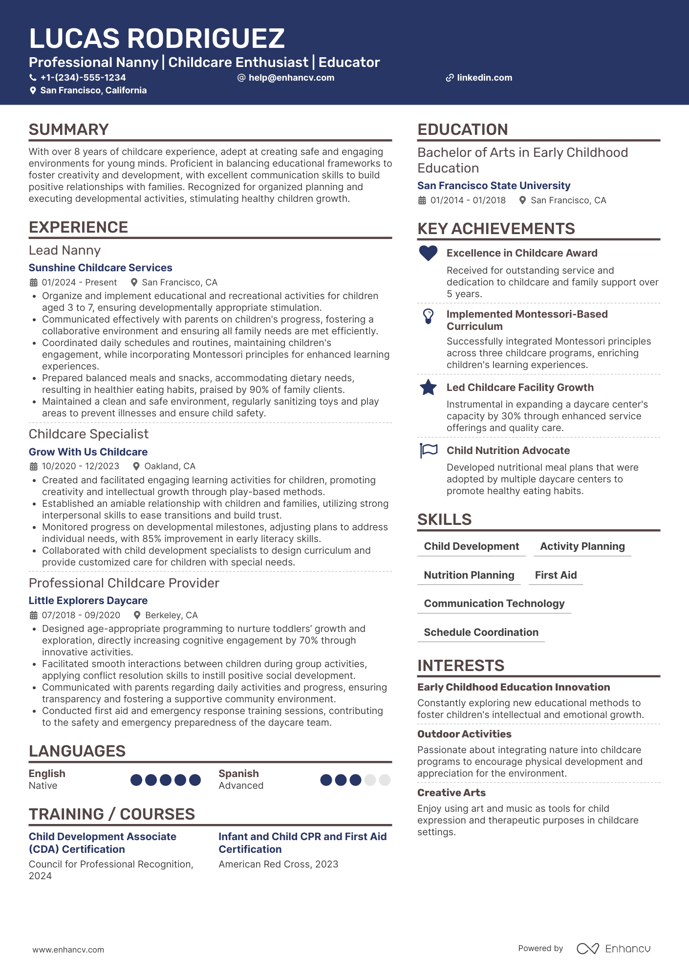 Professional Nanny Resume Example