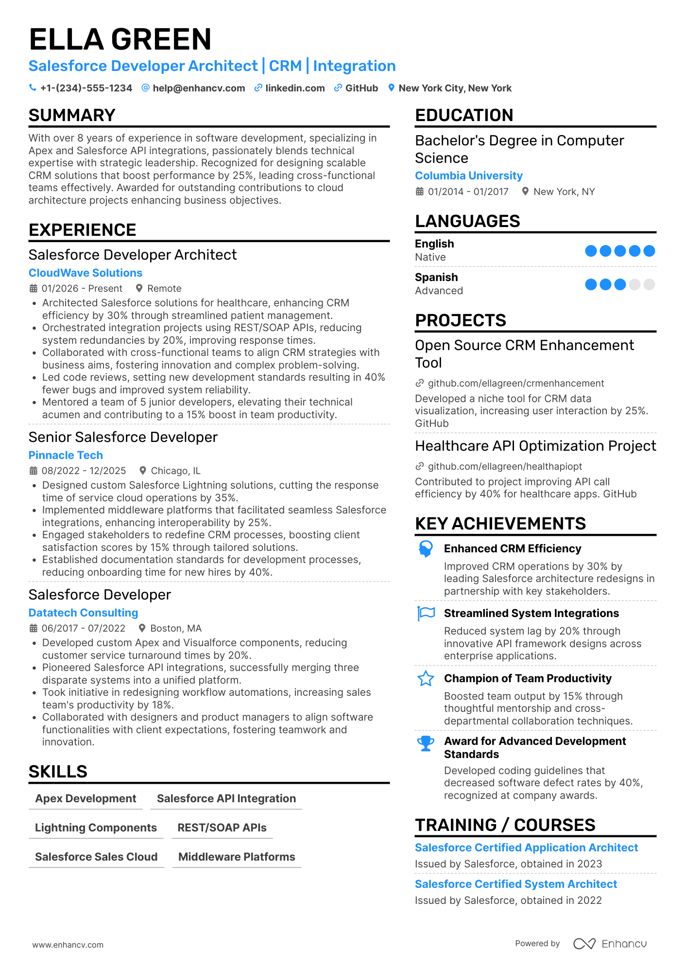 Salesforce Developer Architect Resume Example