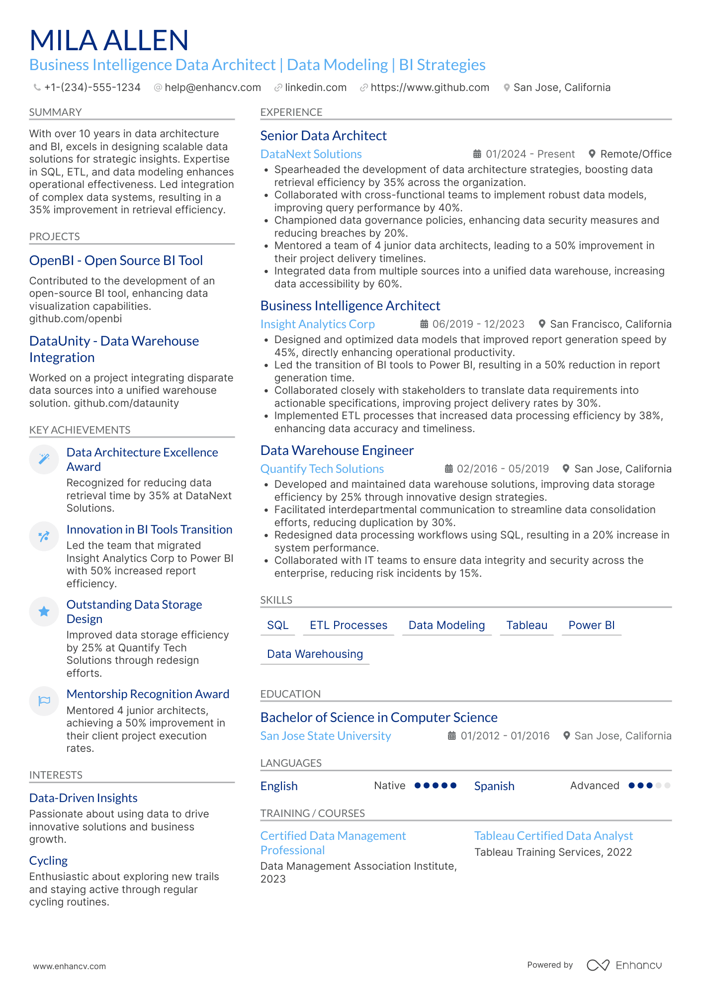 Business Intelligence Data Architect Resume Example