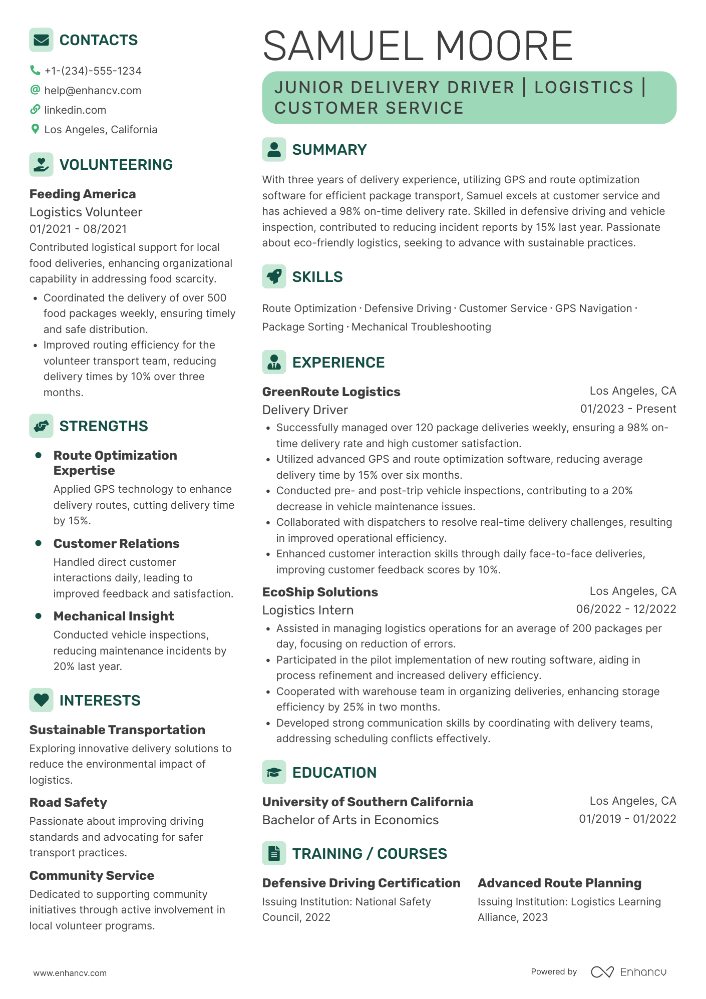 Junior Delivery Driver Resume Example