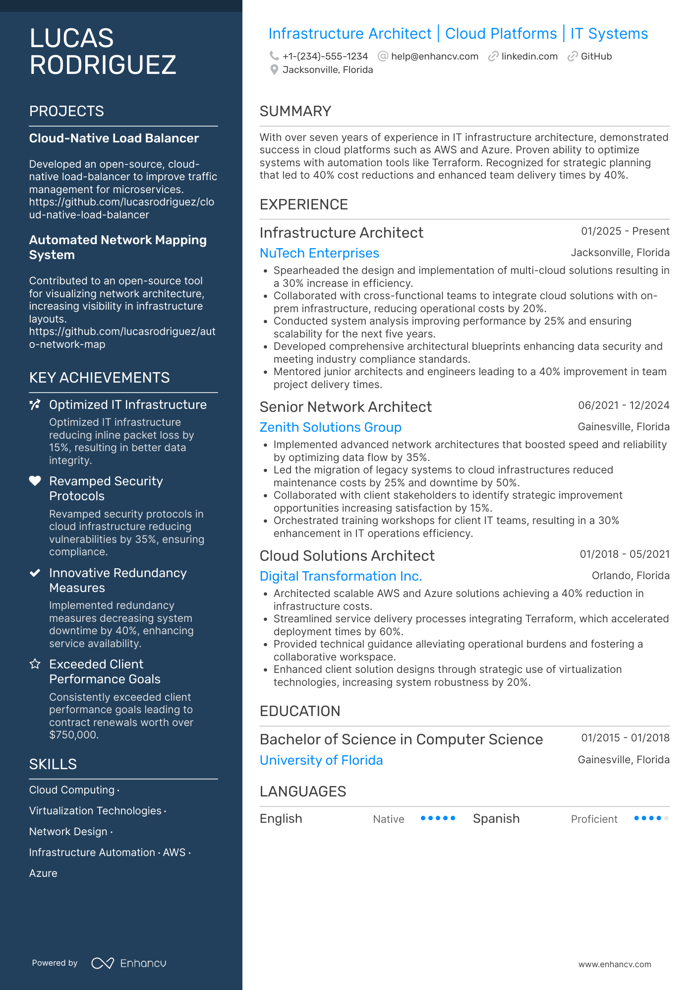 Infrastructure Architect Resume Example