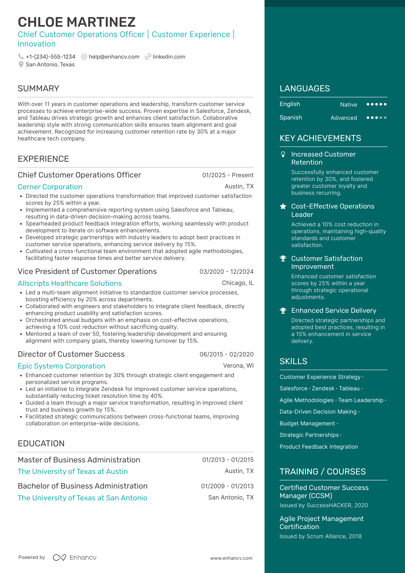Chief Customer Operations Officer Resume Example