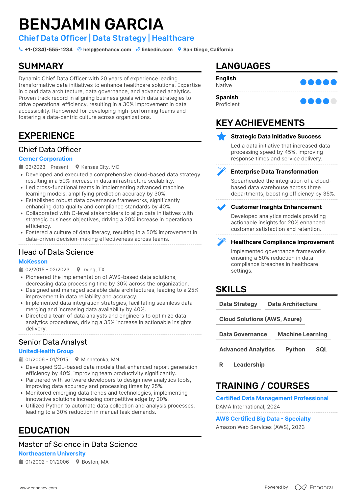 Chief Data Officer Resume Example