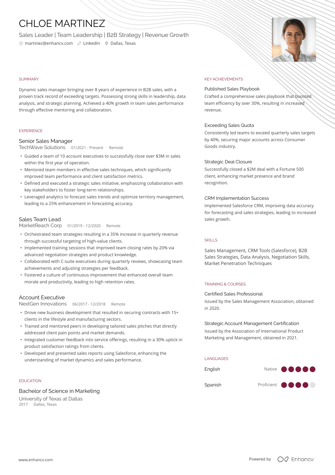 B2B Sales Manager Resume Example