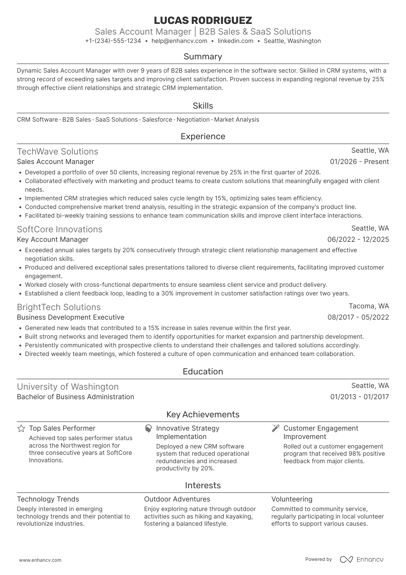 Sales Account Manager Resume Example