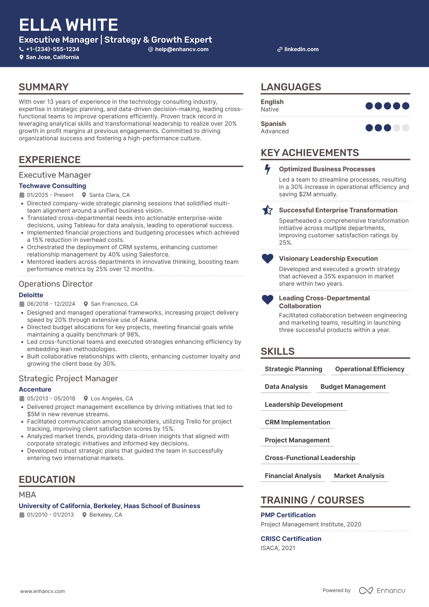 Executive Manager Resume Example