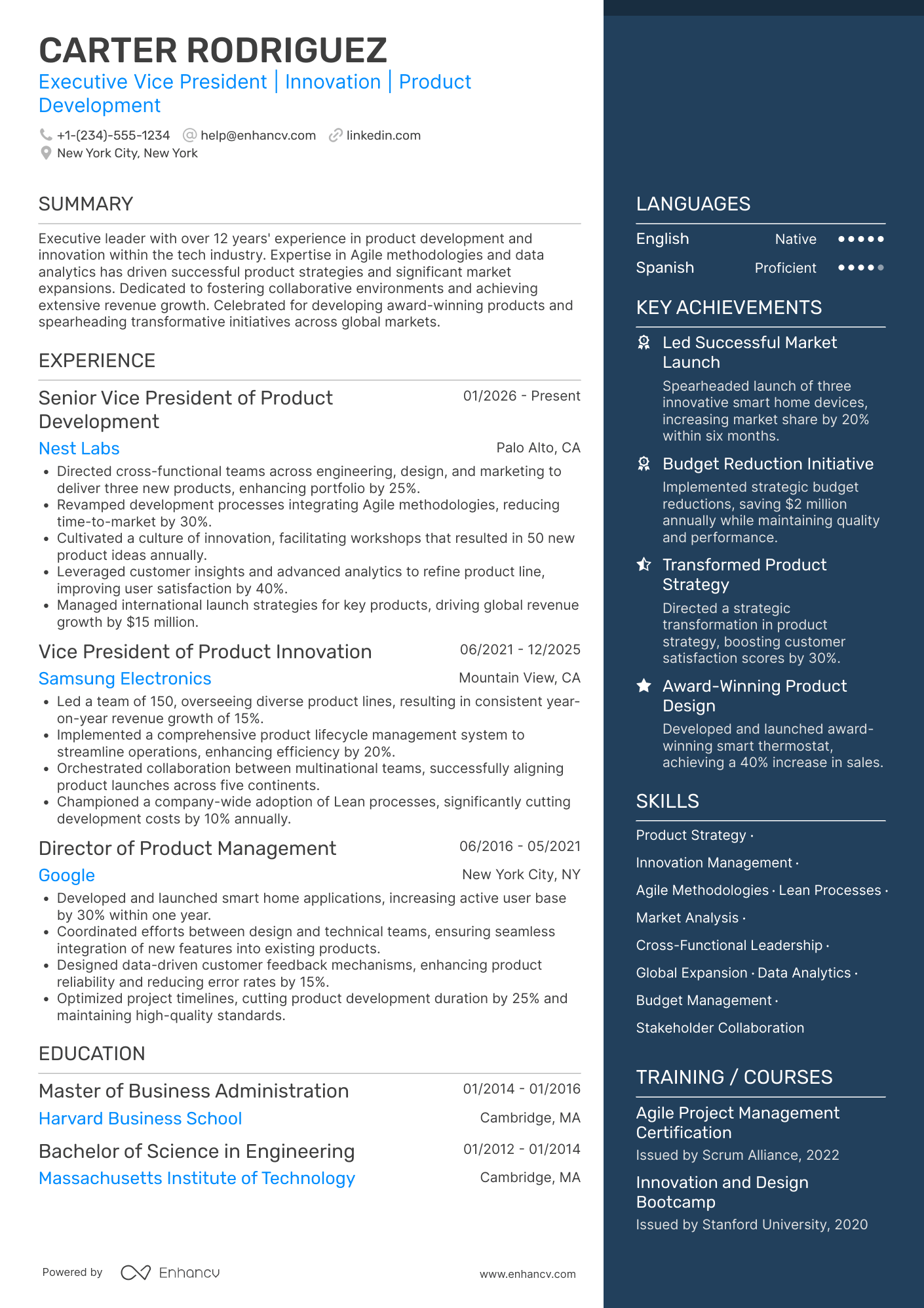 Executive Vice President of Product Development Resume Example