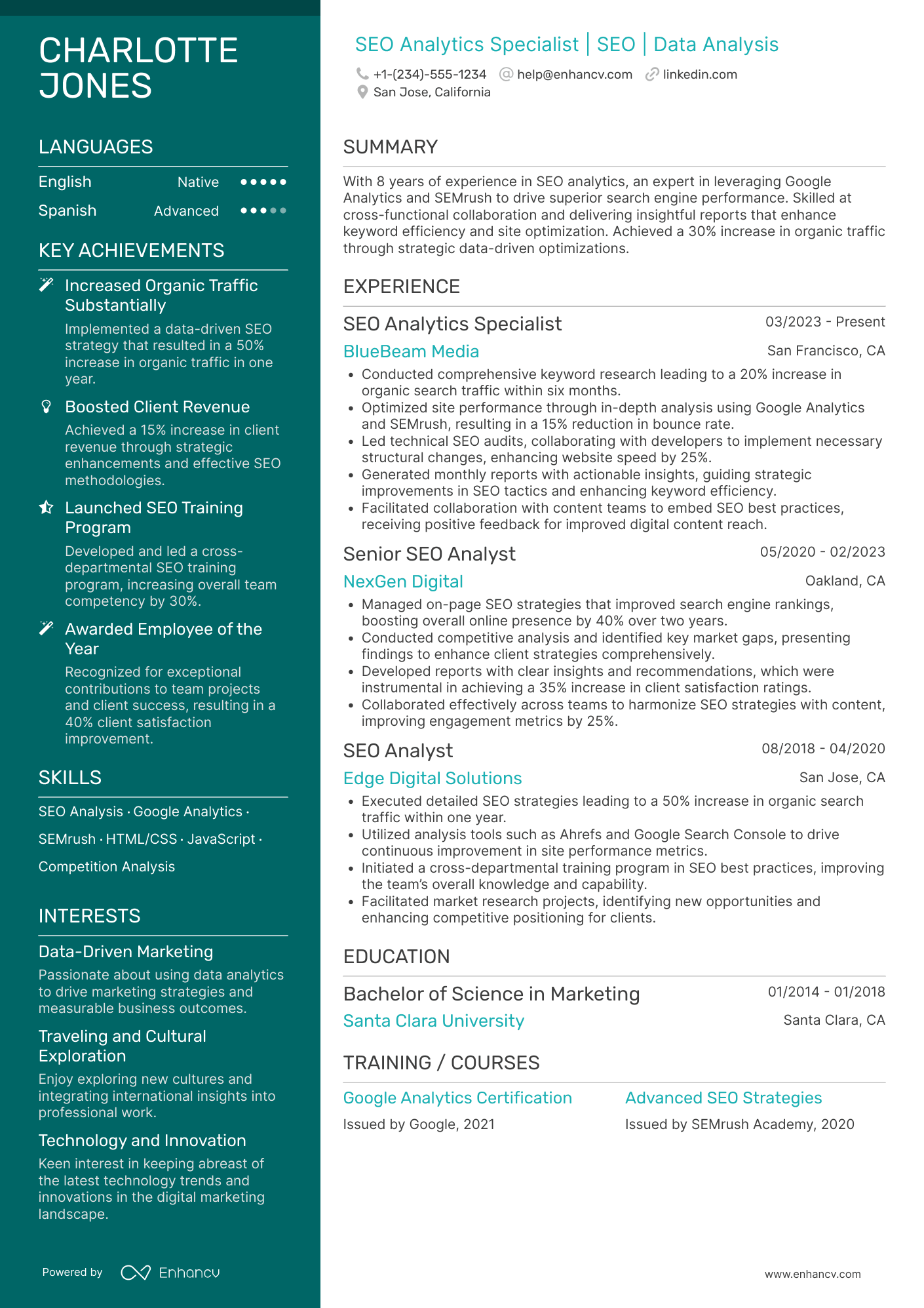 SEO Analytics Specialist Resume Example