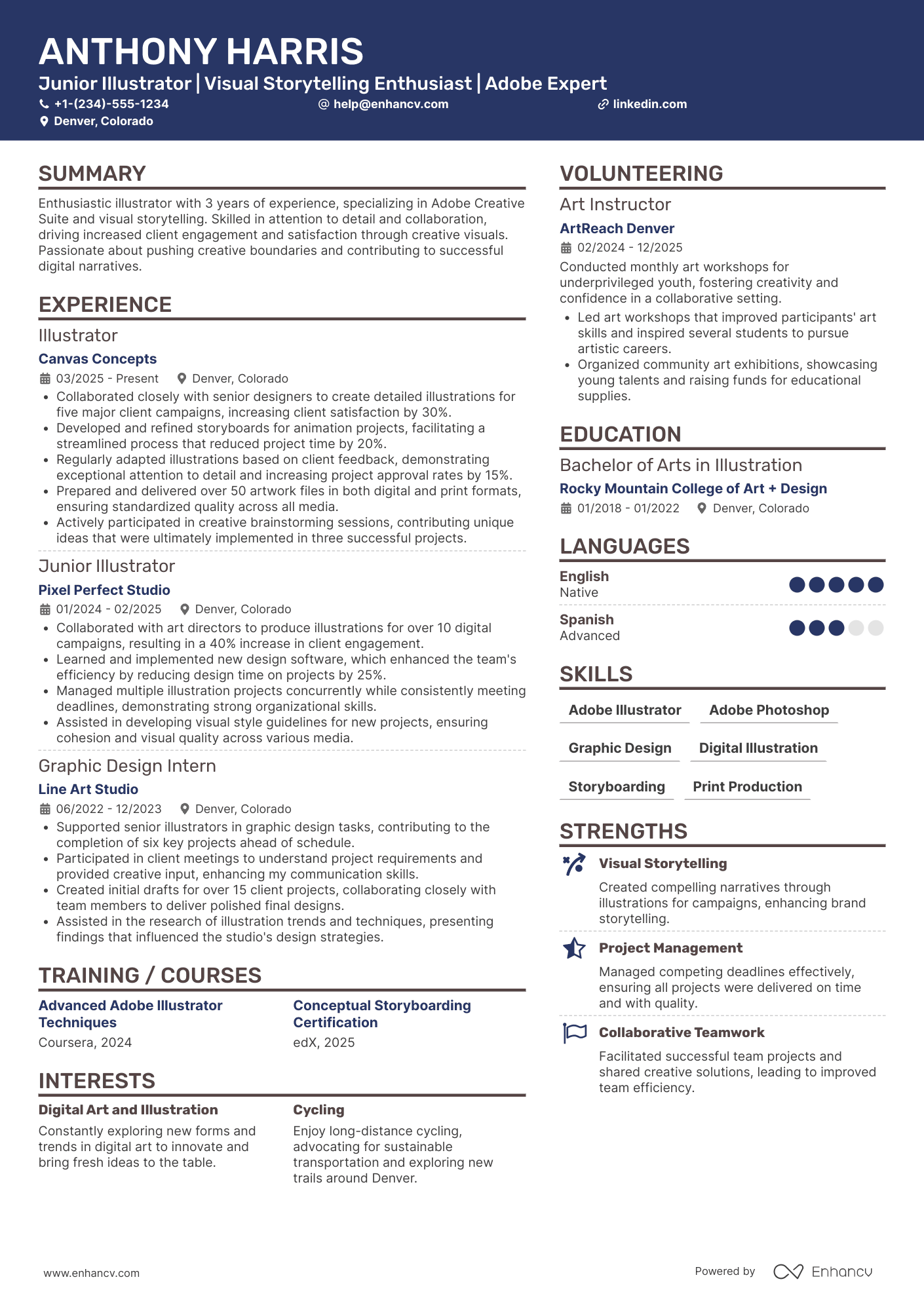 Junior Illustrator Resume Example