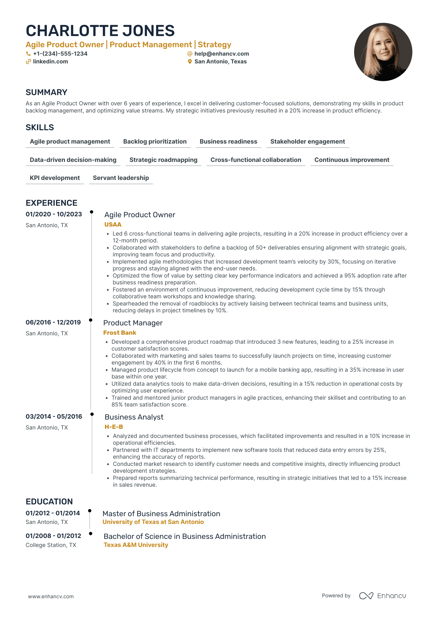 Agile Product Owner Resume Example