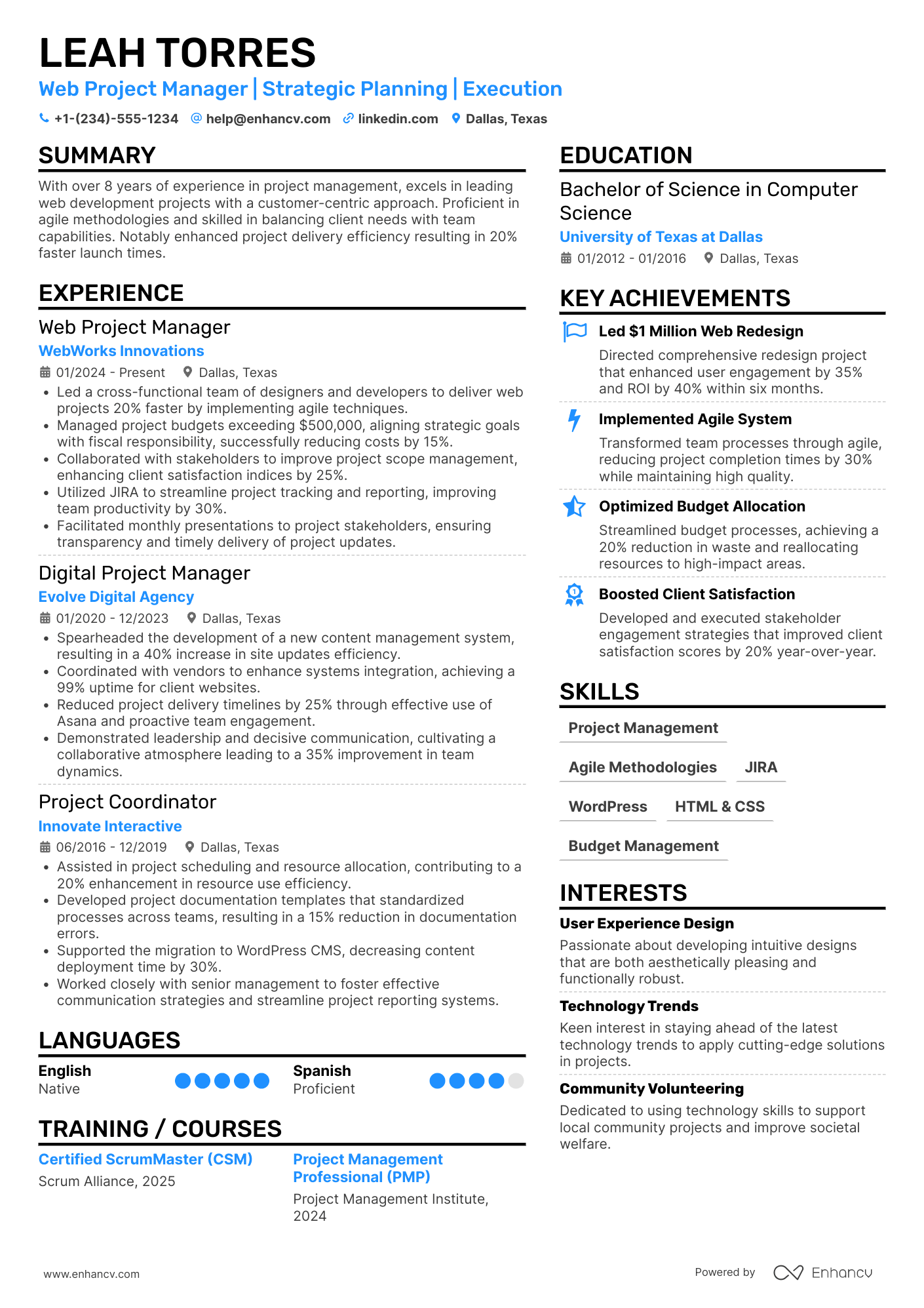 Web Project Manager Resume Example