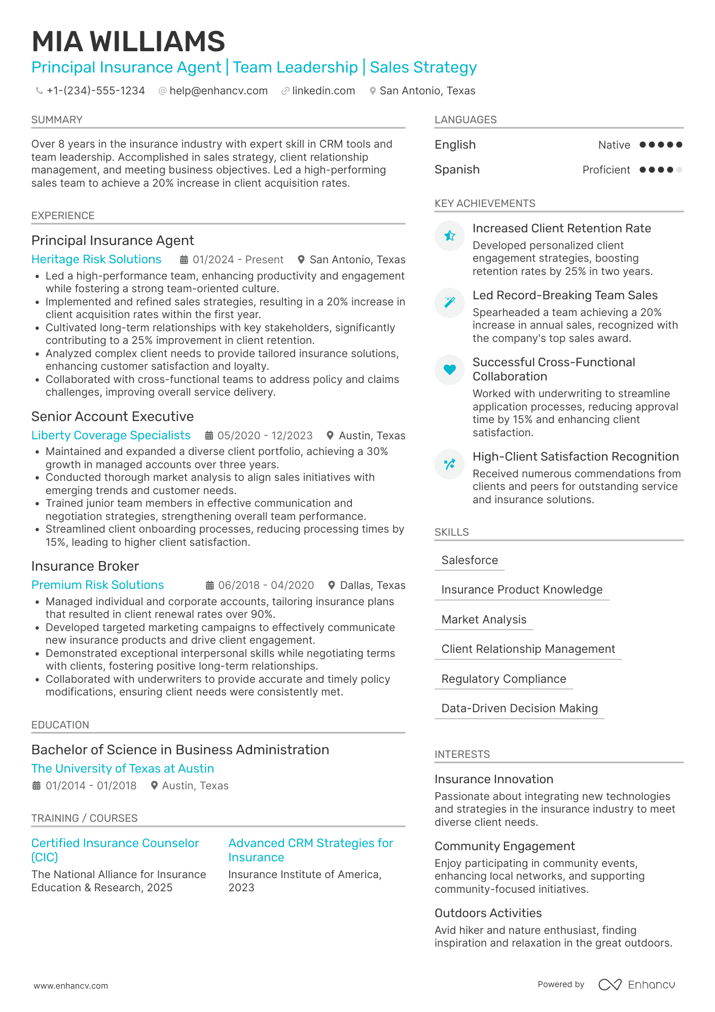 Principal Insurance Agent Resume Example